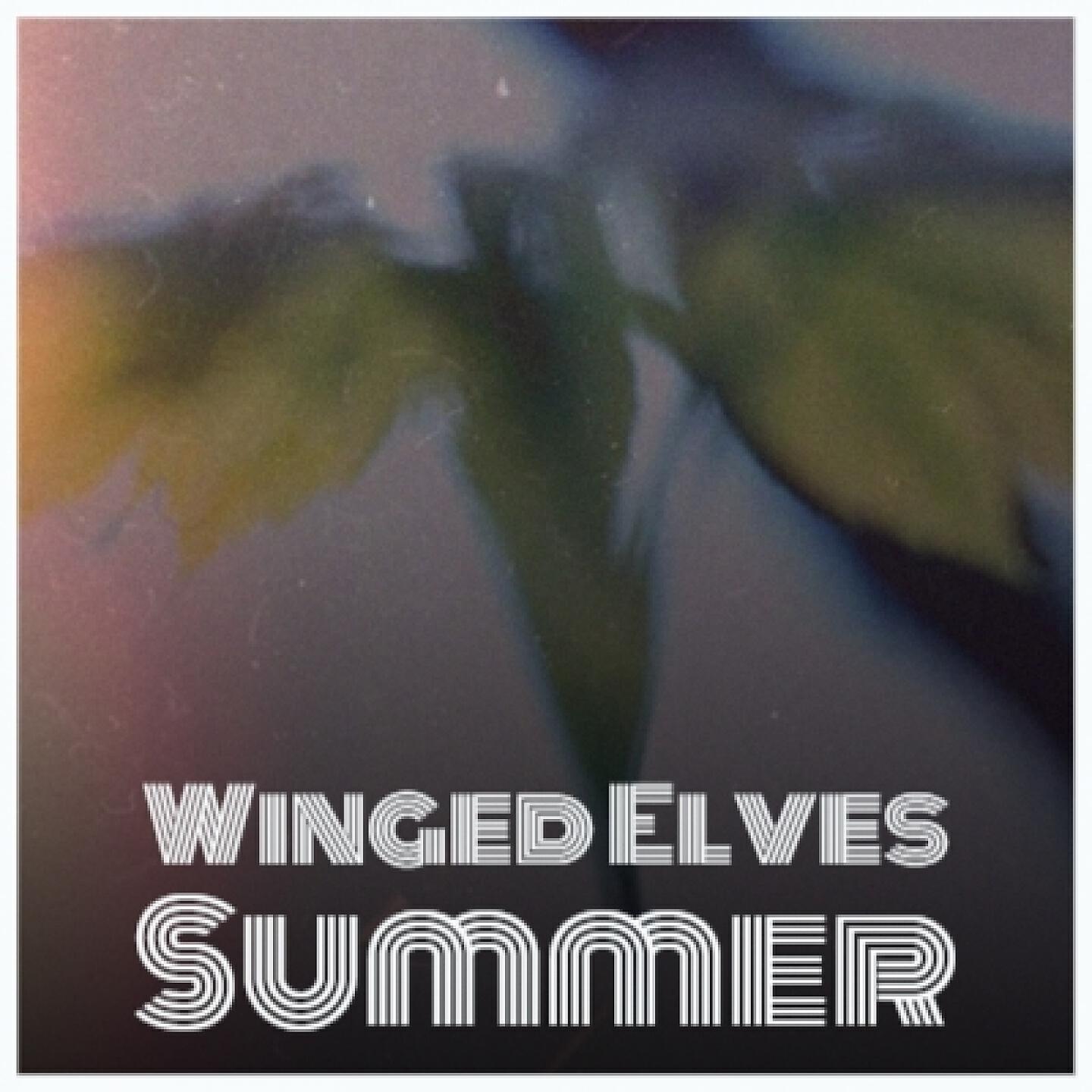 Релиз Winged Elves Summer
