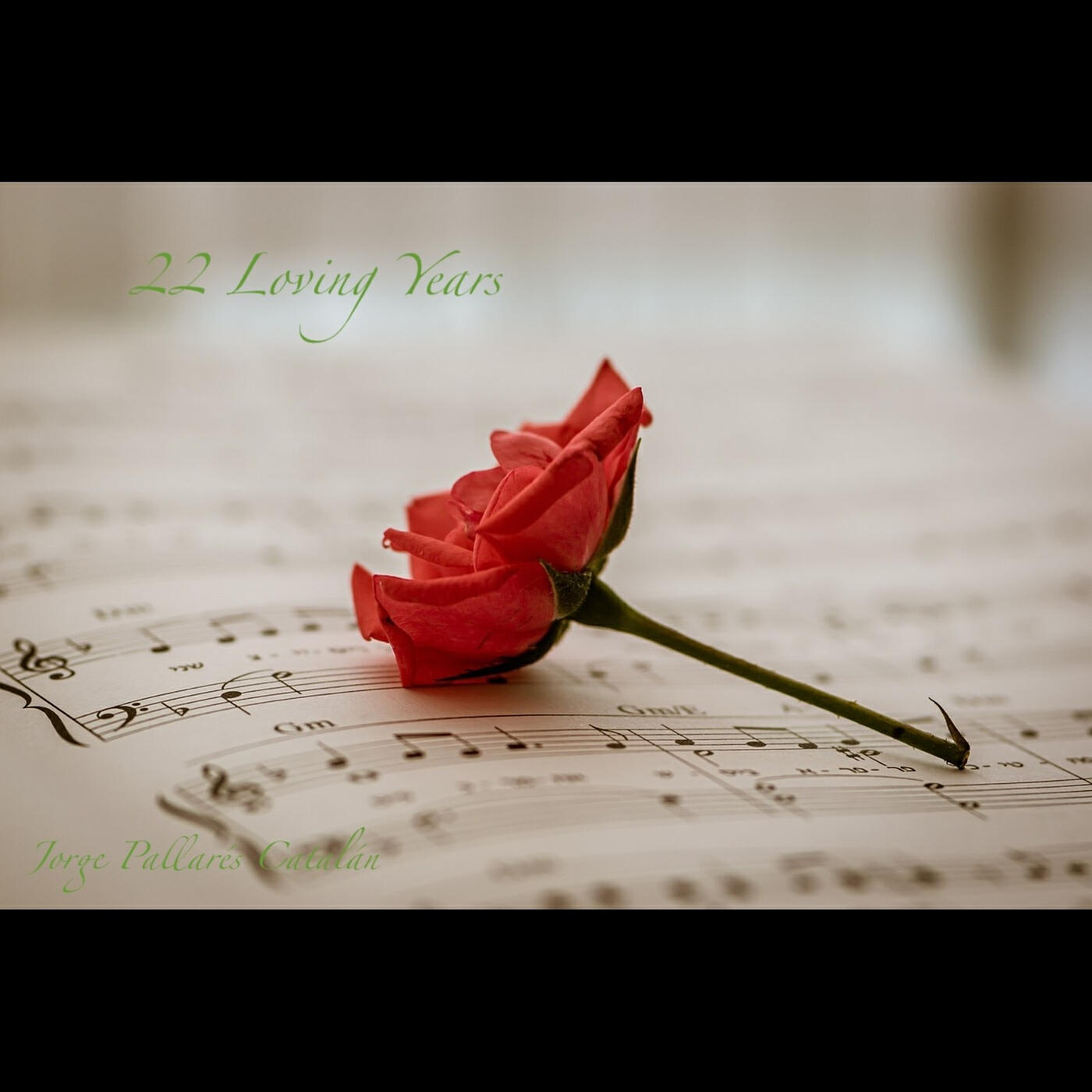 Релиз 22 Loving Years