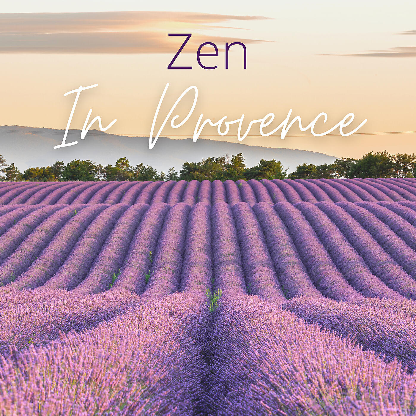 Релиз Zen in Provence