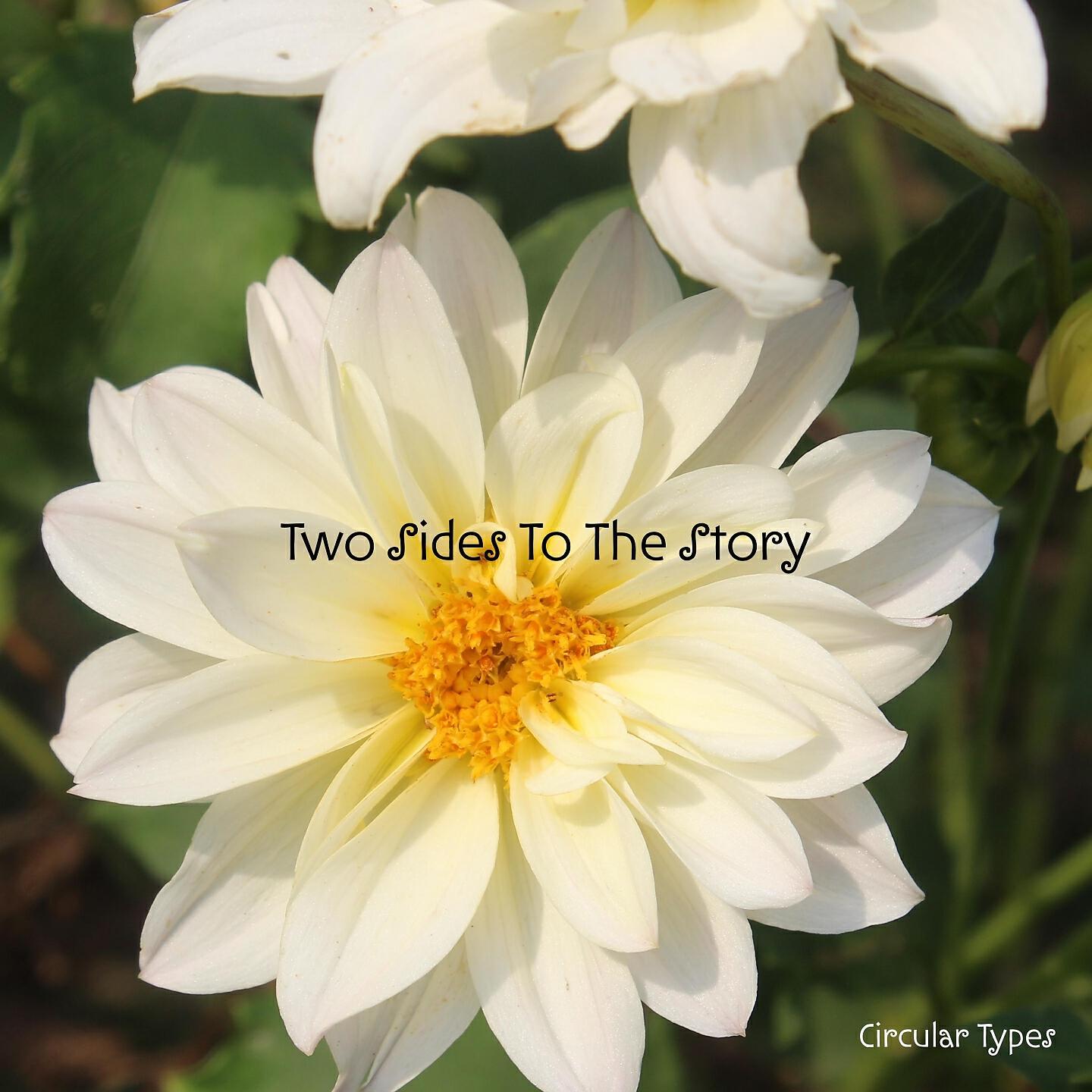 Релиз Two Sides To The Story