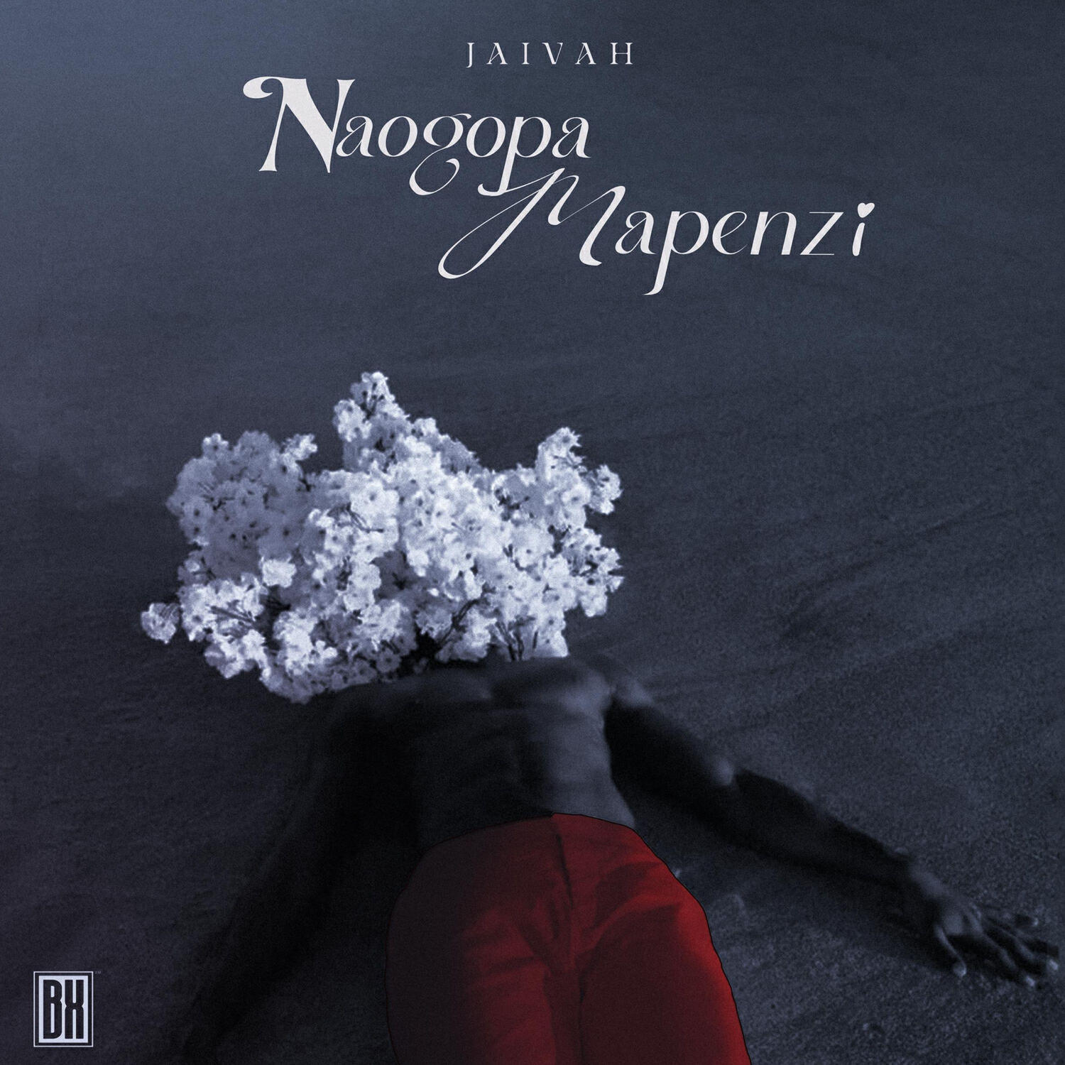 Релиз Naogopa Mapenzi