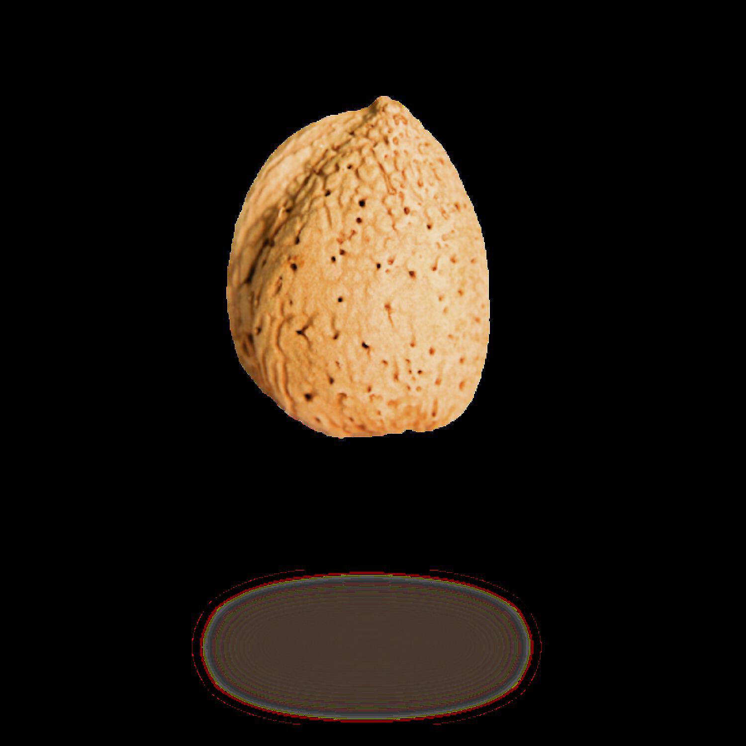 Релиз Elkaeh