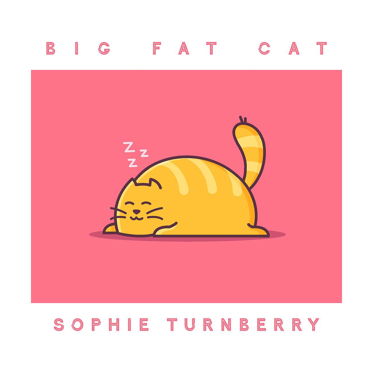 Релиз Big Fat Cat