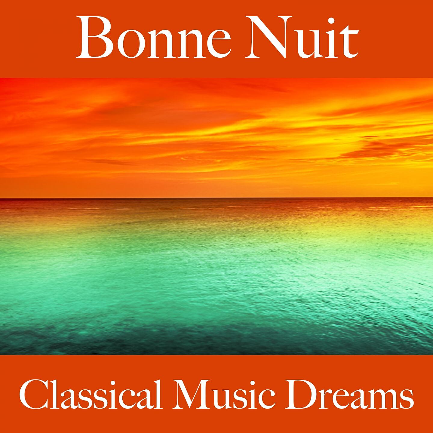 Трек Symphony No. 1 in C Minor, Op. 68: IV. Adagio - Allegro non troppo, ma con brio