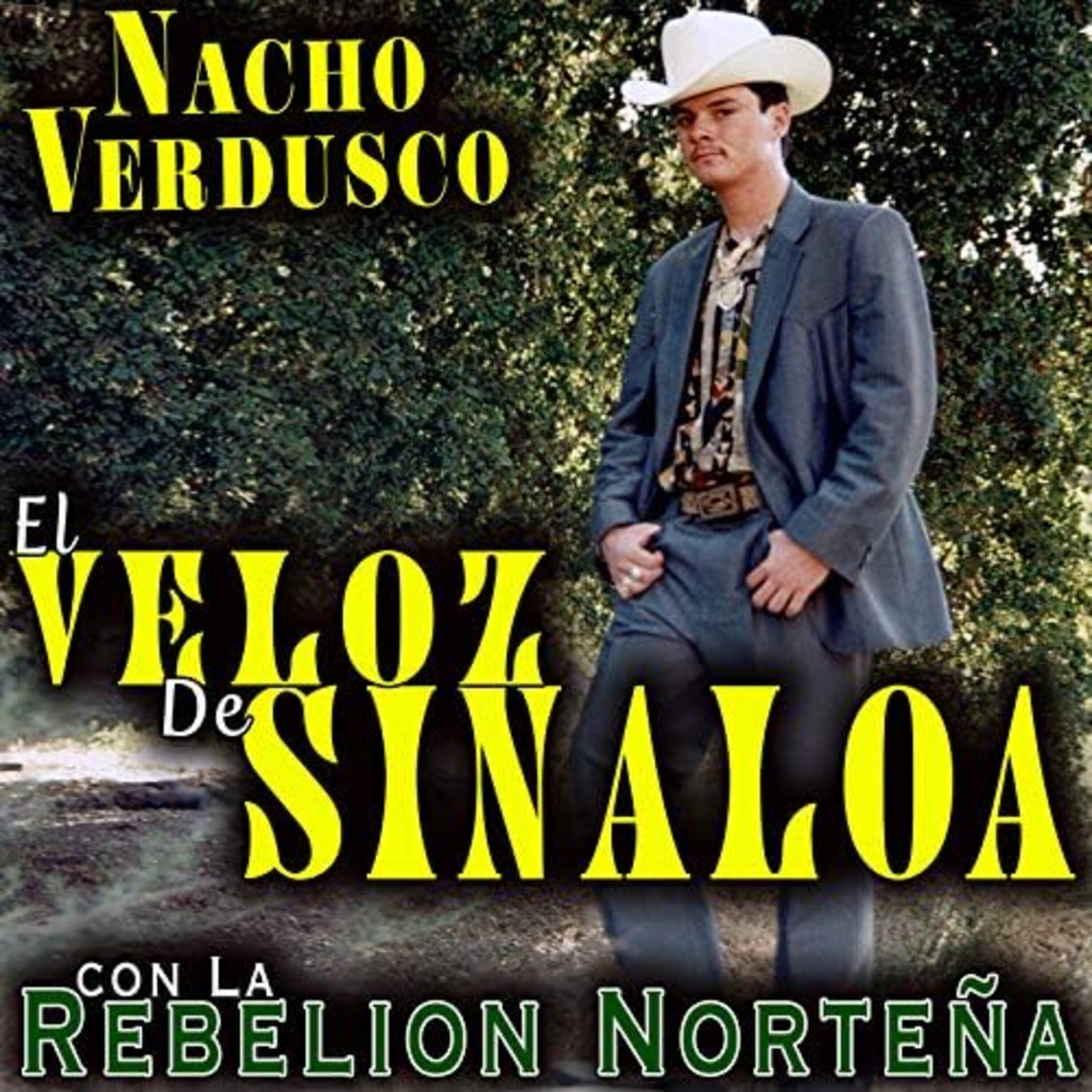 Релиз Con la Rebelión Norteña
