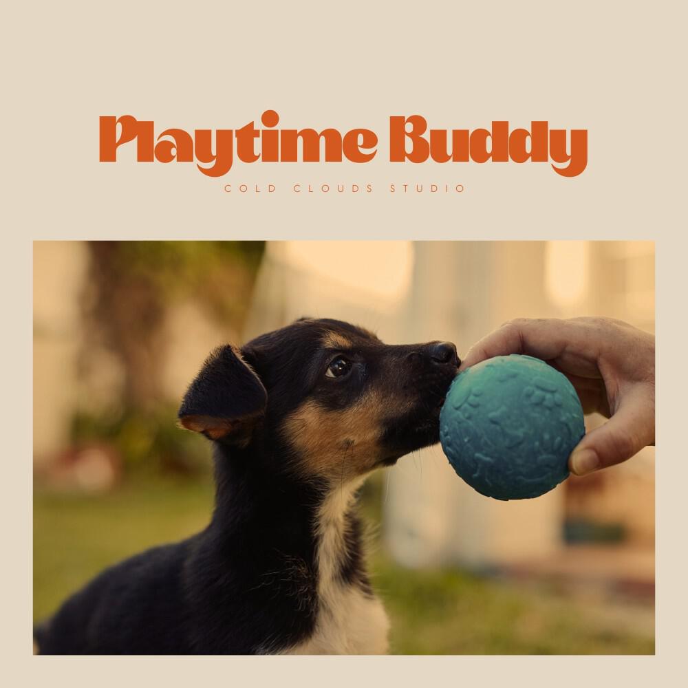 Релиз Playtime Buddy