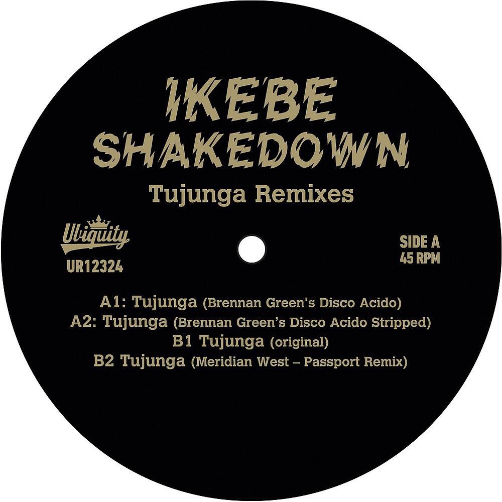 Постер альбома Tujunga Remixes