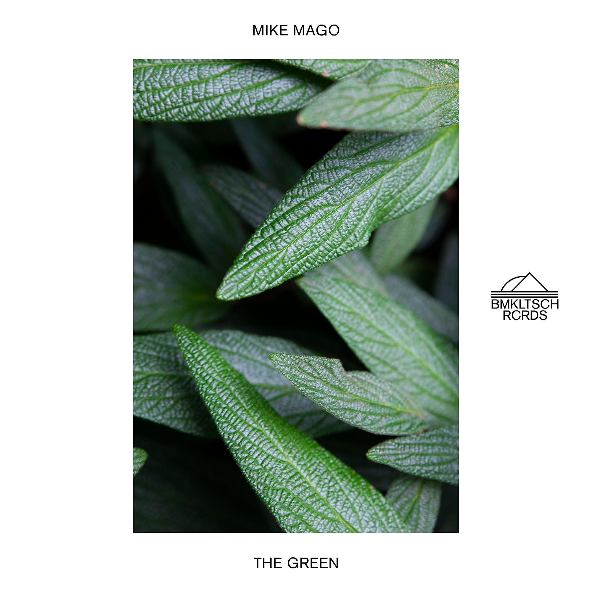 Скачать песню Mike Mago - The Green бесплатно в MP3 для Android и iOS