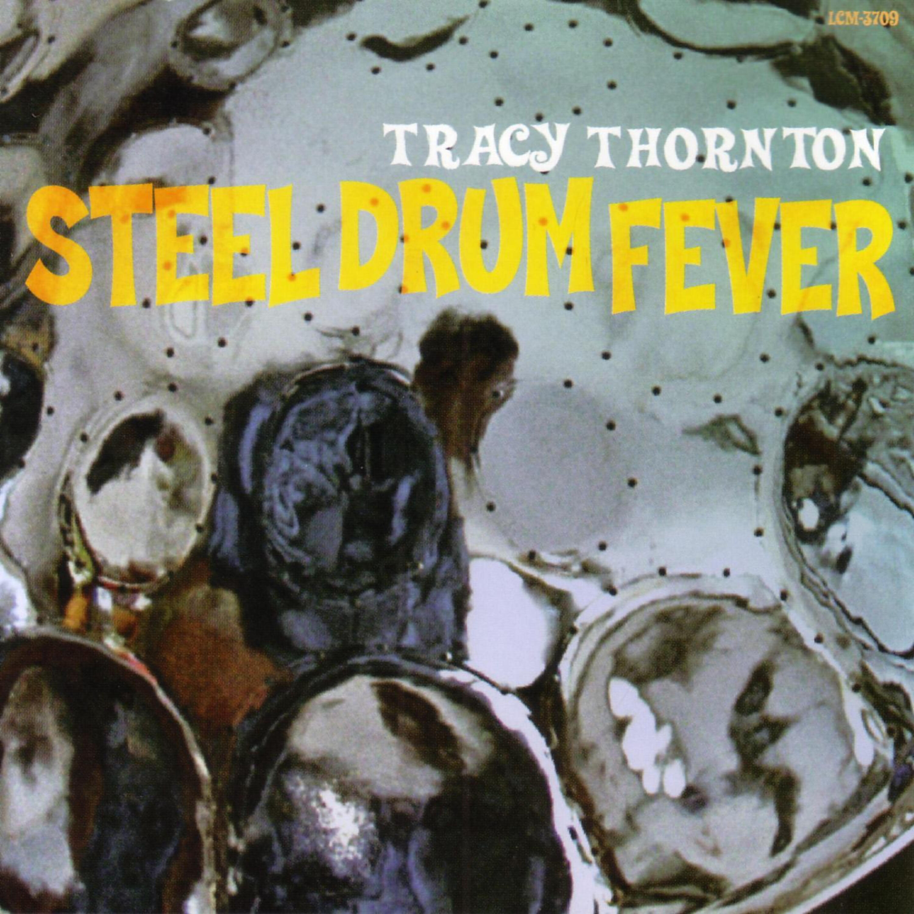 Релиз Steel Drum Fever