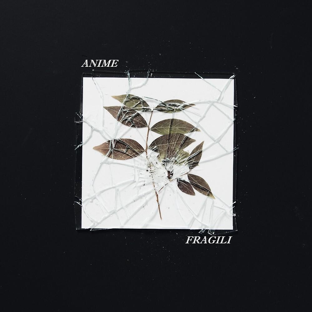 Релиз Anime fragili
