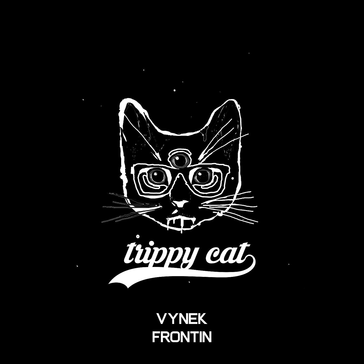 Релиз Frontin