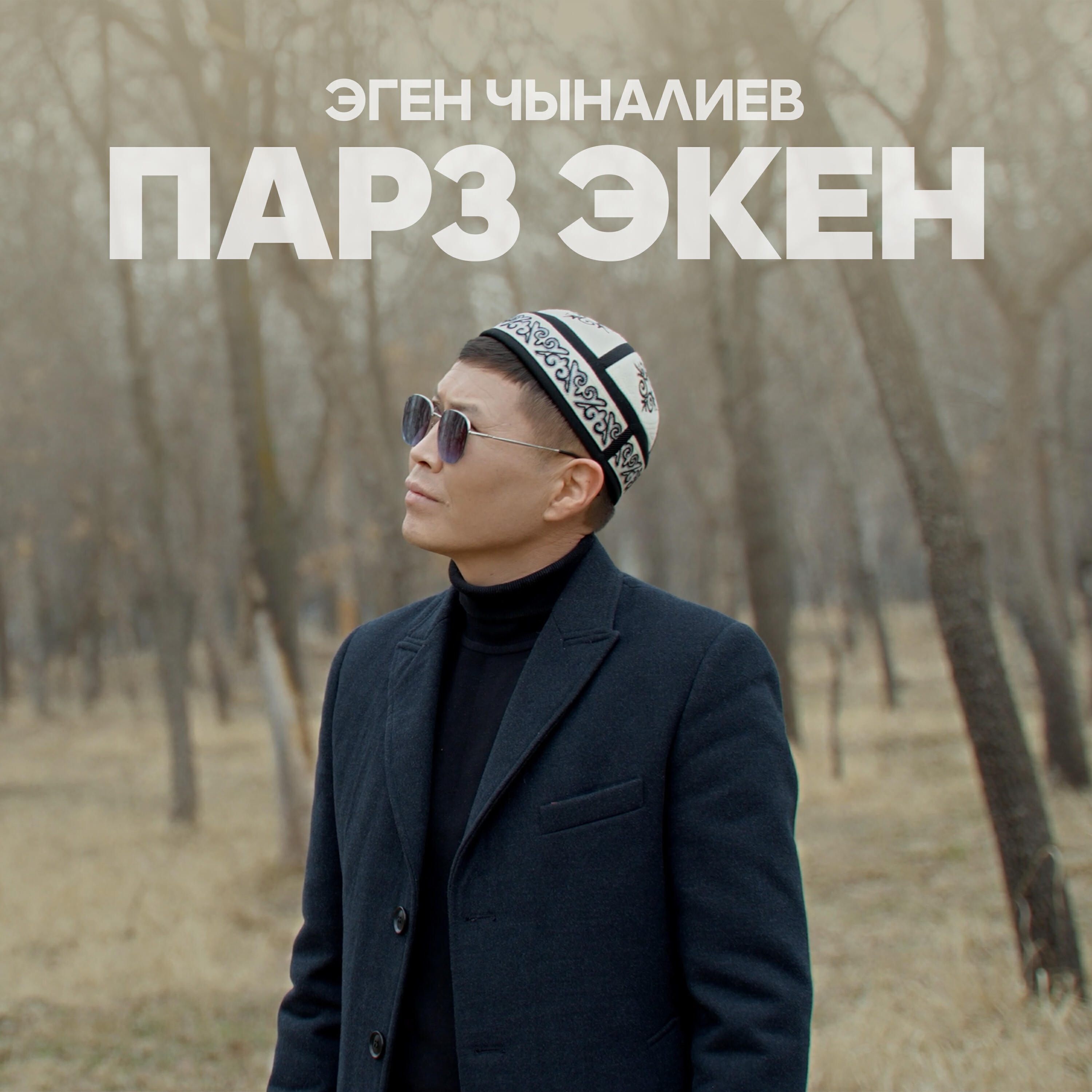 Релиз Парз экен