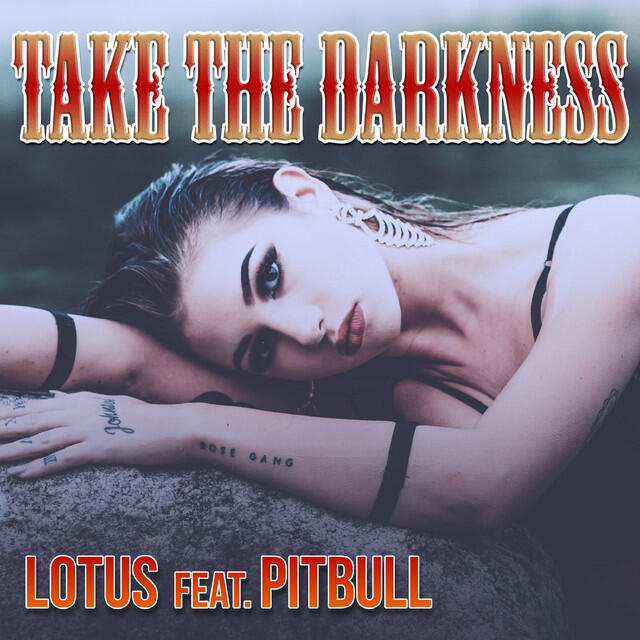 Релиз Take The Darkness (feat. Pitbull)