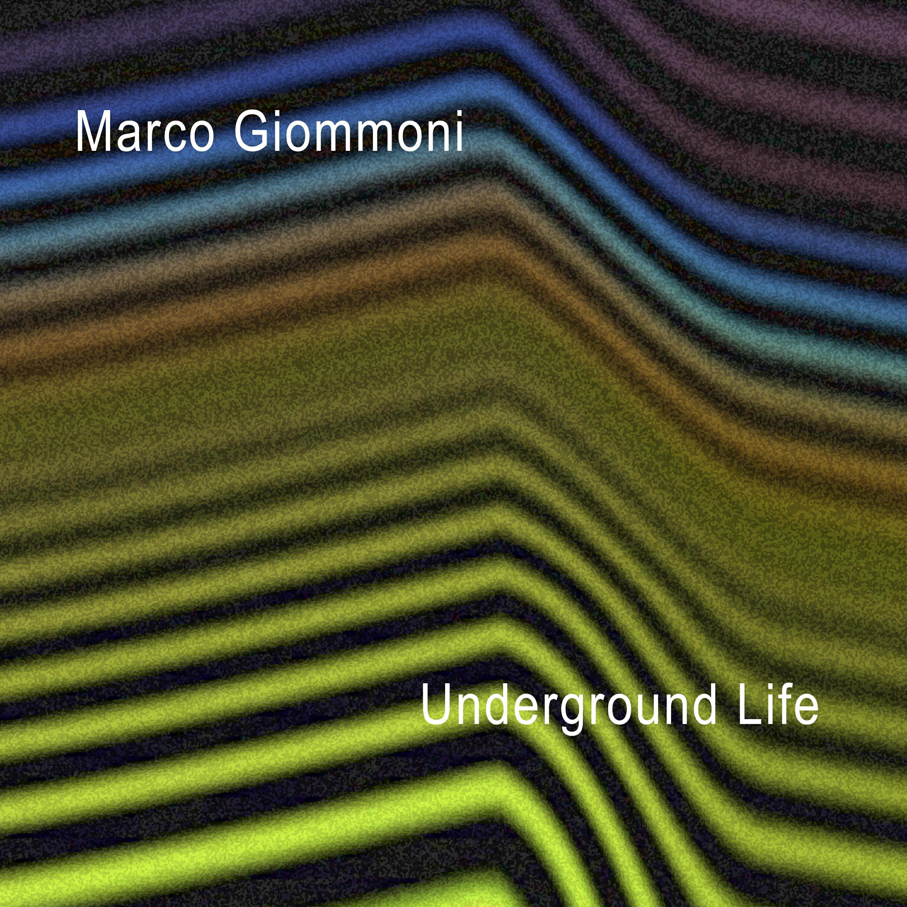 Marco Giommoni