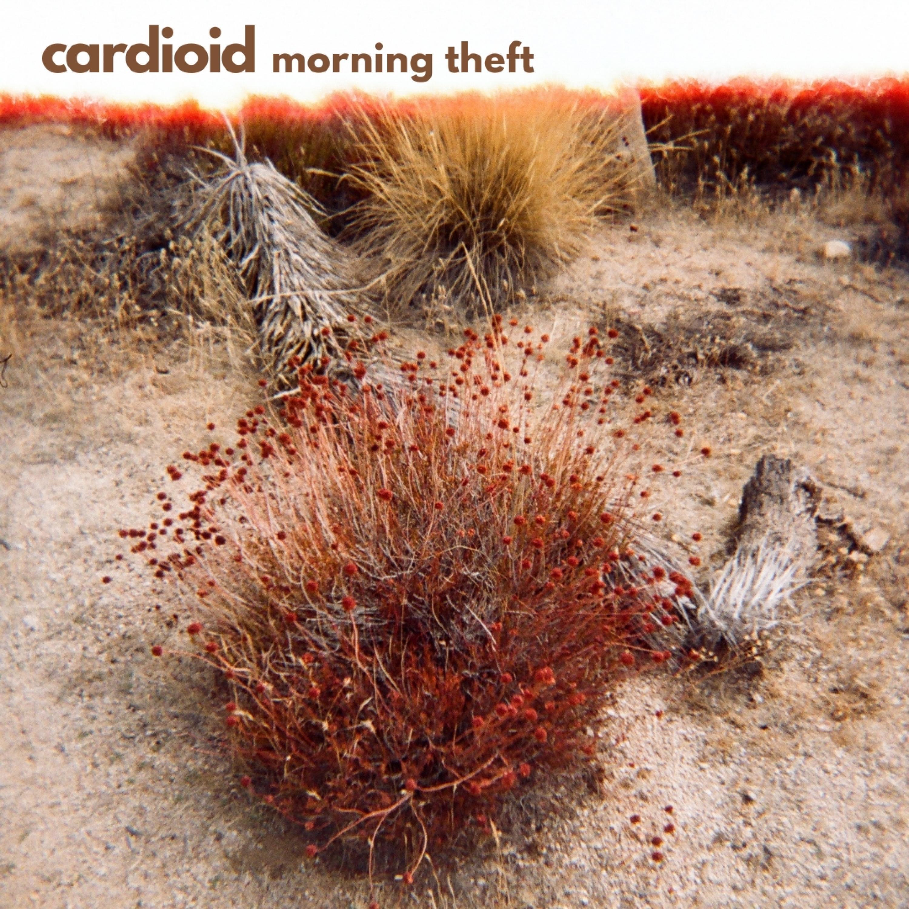 Релиз Morning Theft
