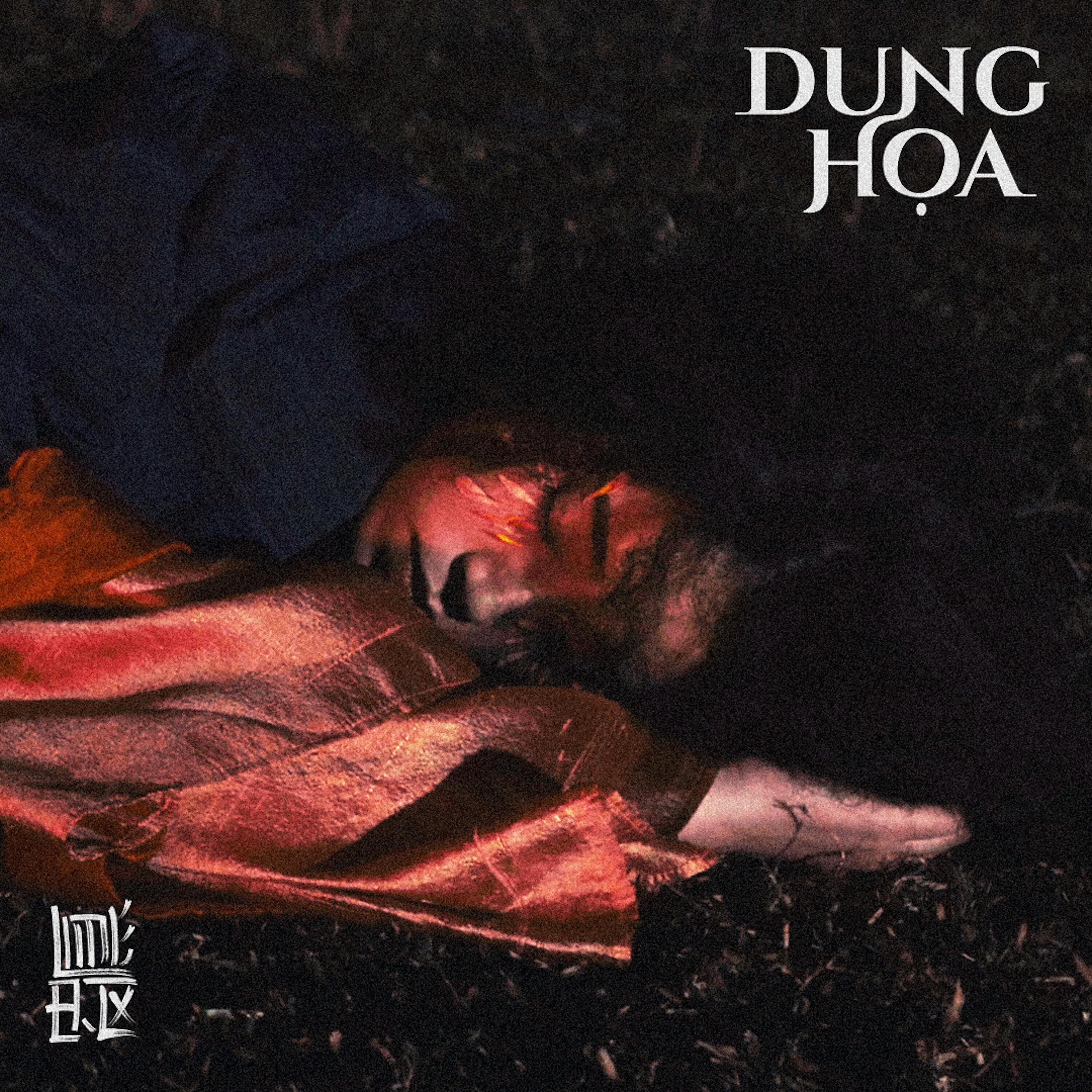 Релиз Dung Họa