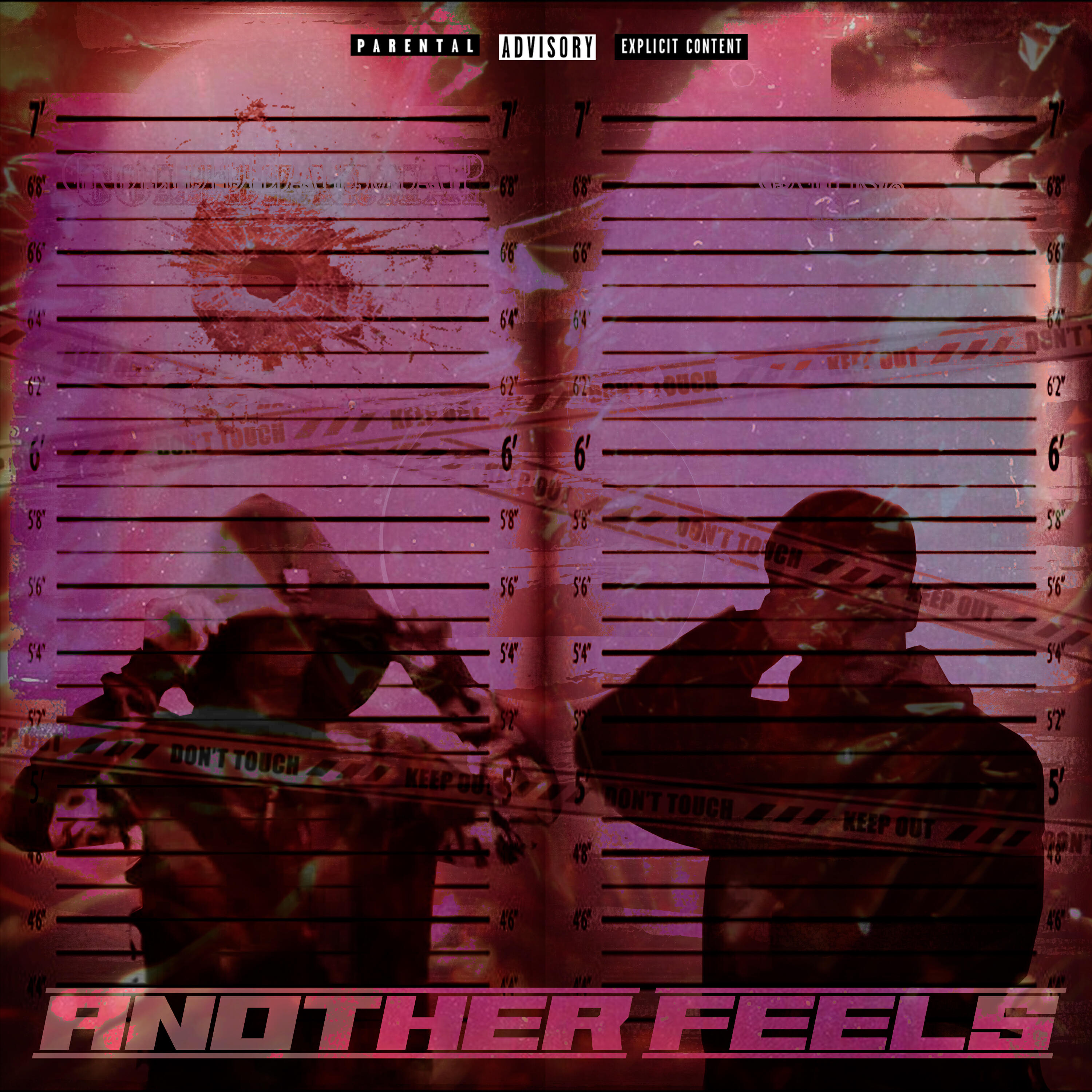 Релиз Another Feels
