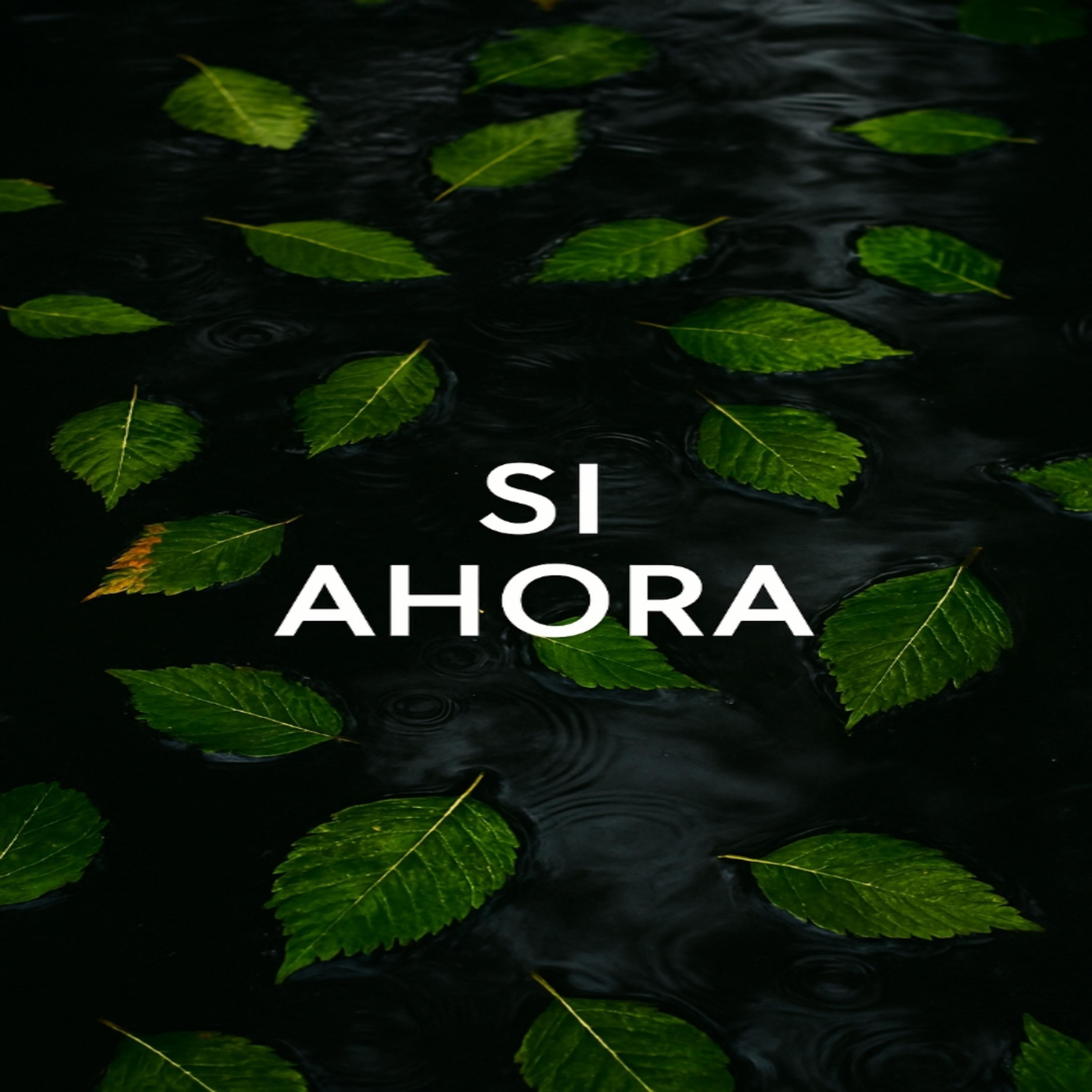 Релиз Si Ahora (Special Otro Flow)