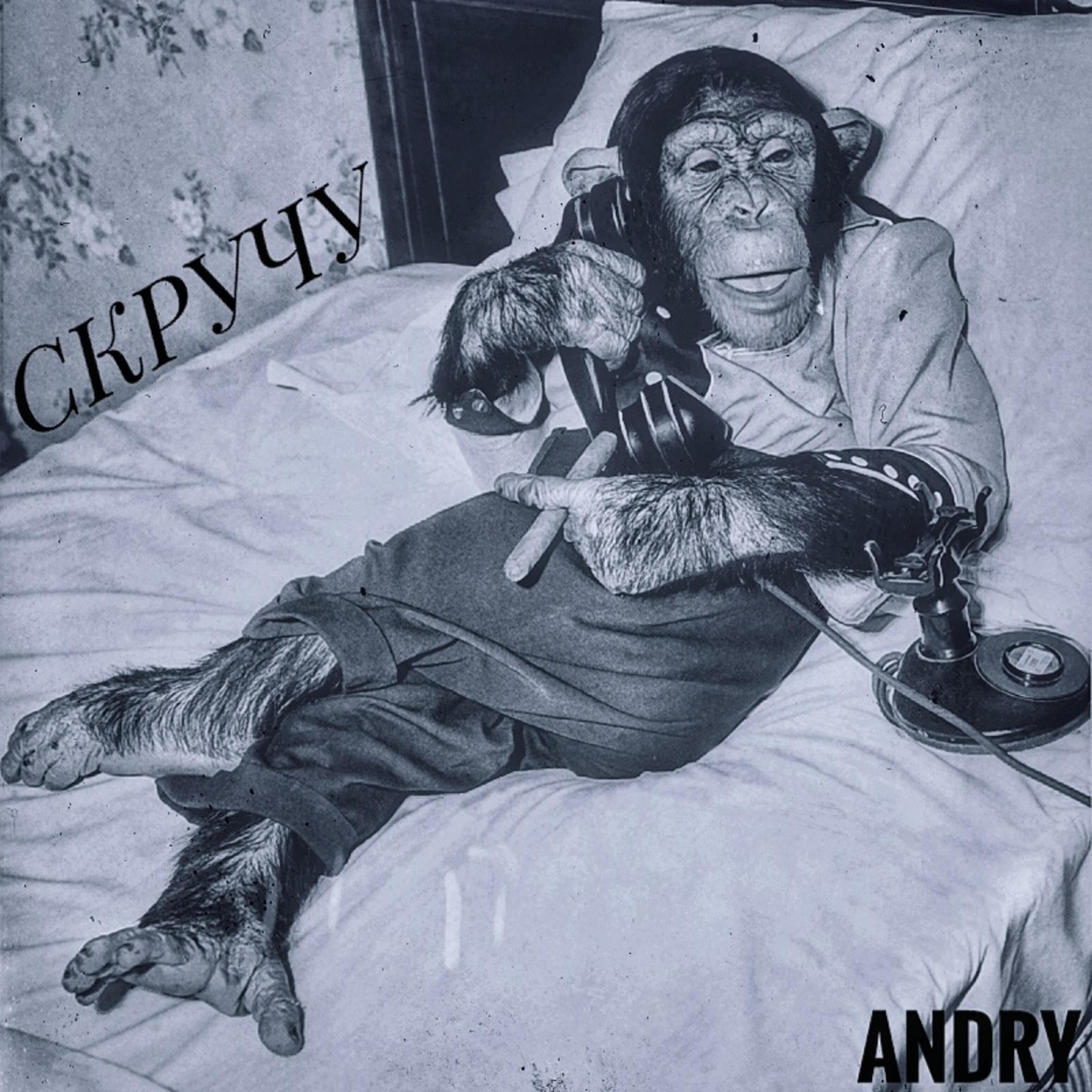 Релиз Скручу