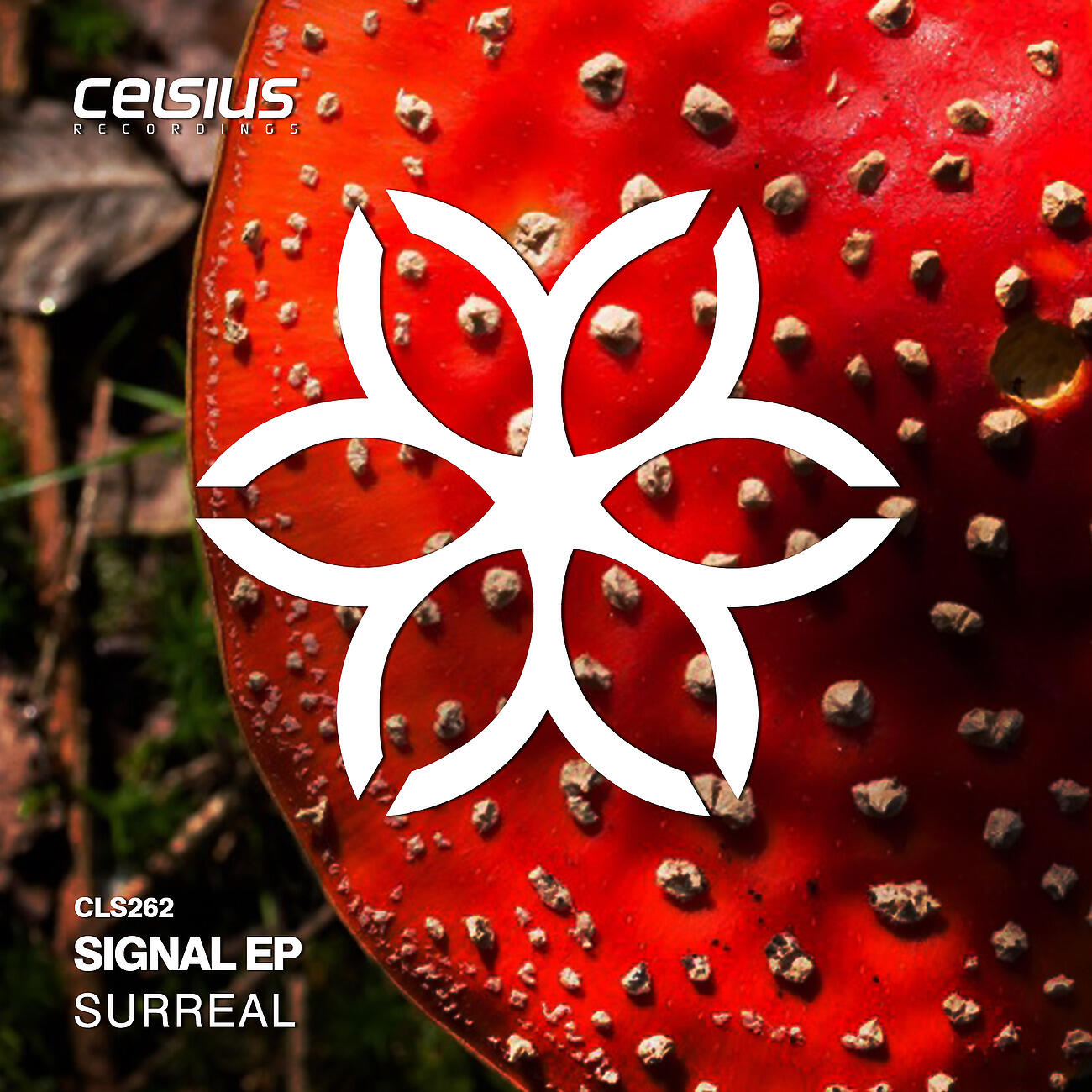 Surreal, Jaybee - Signal