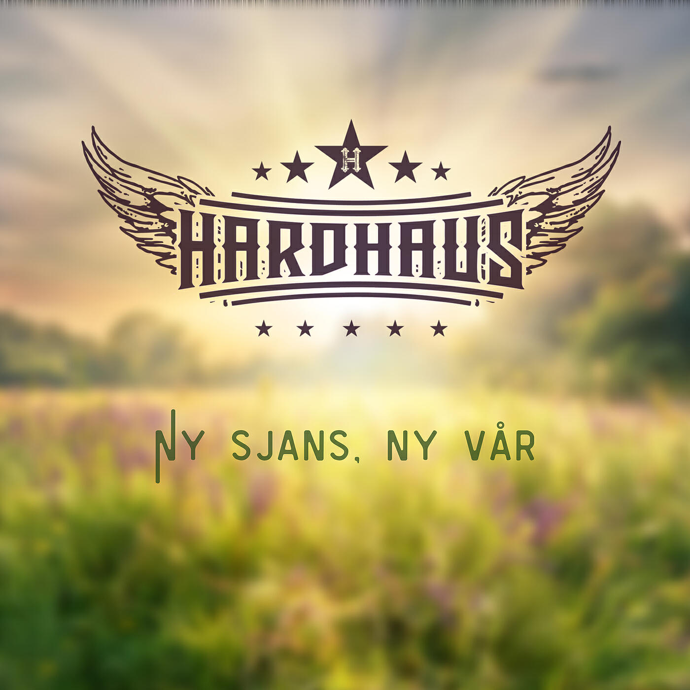 Релиз Ny sjans, ny vår