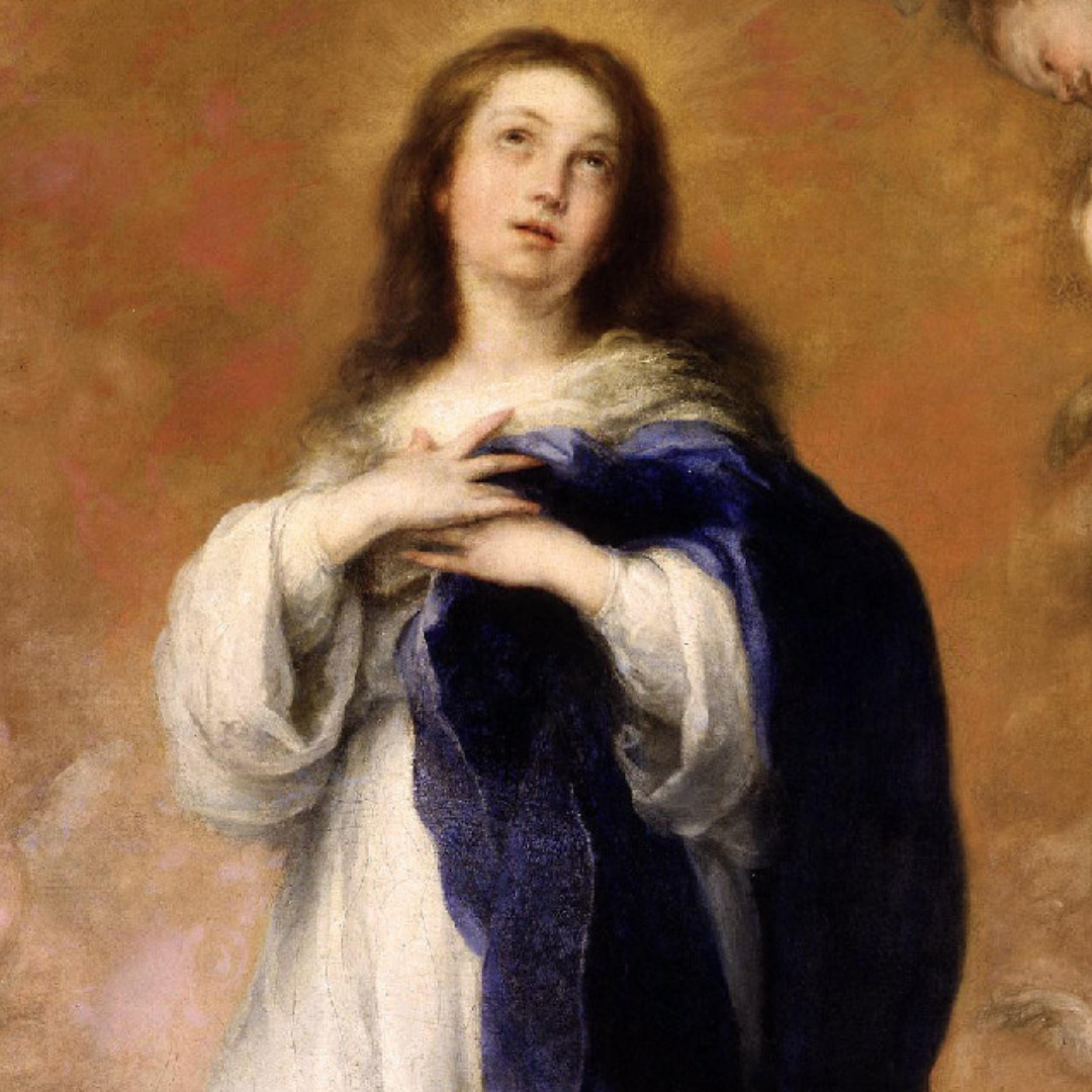 Релиз Gaudens Gaudébo (Immaculate Conception)