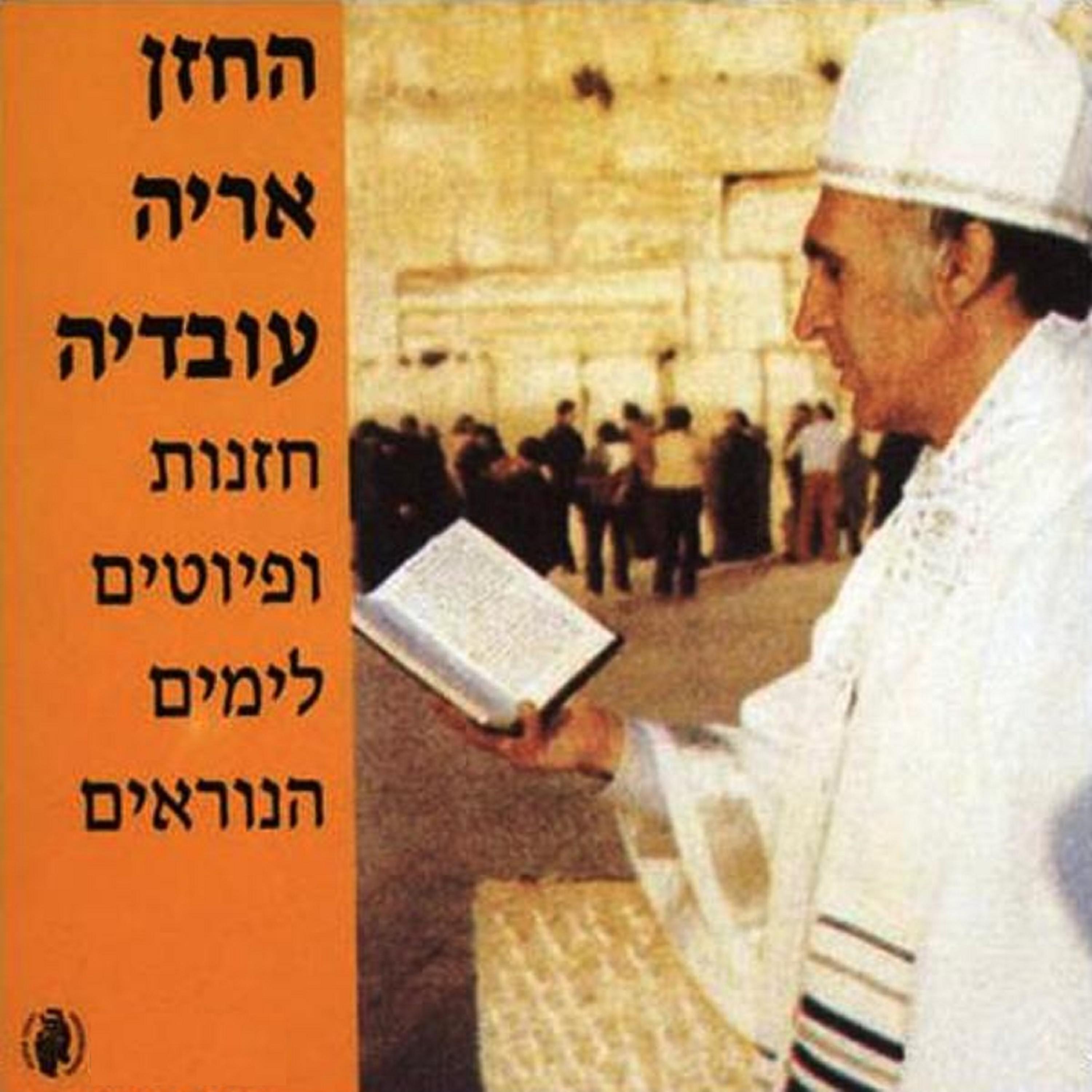אריה עובדיה