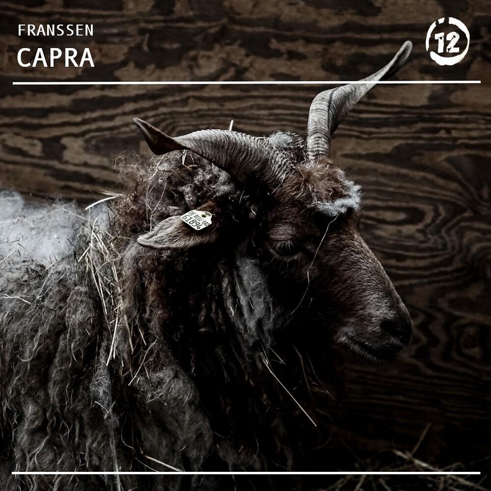 Постер альбома Capra