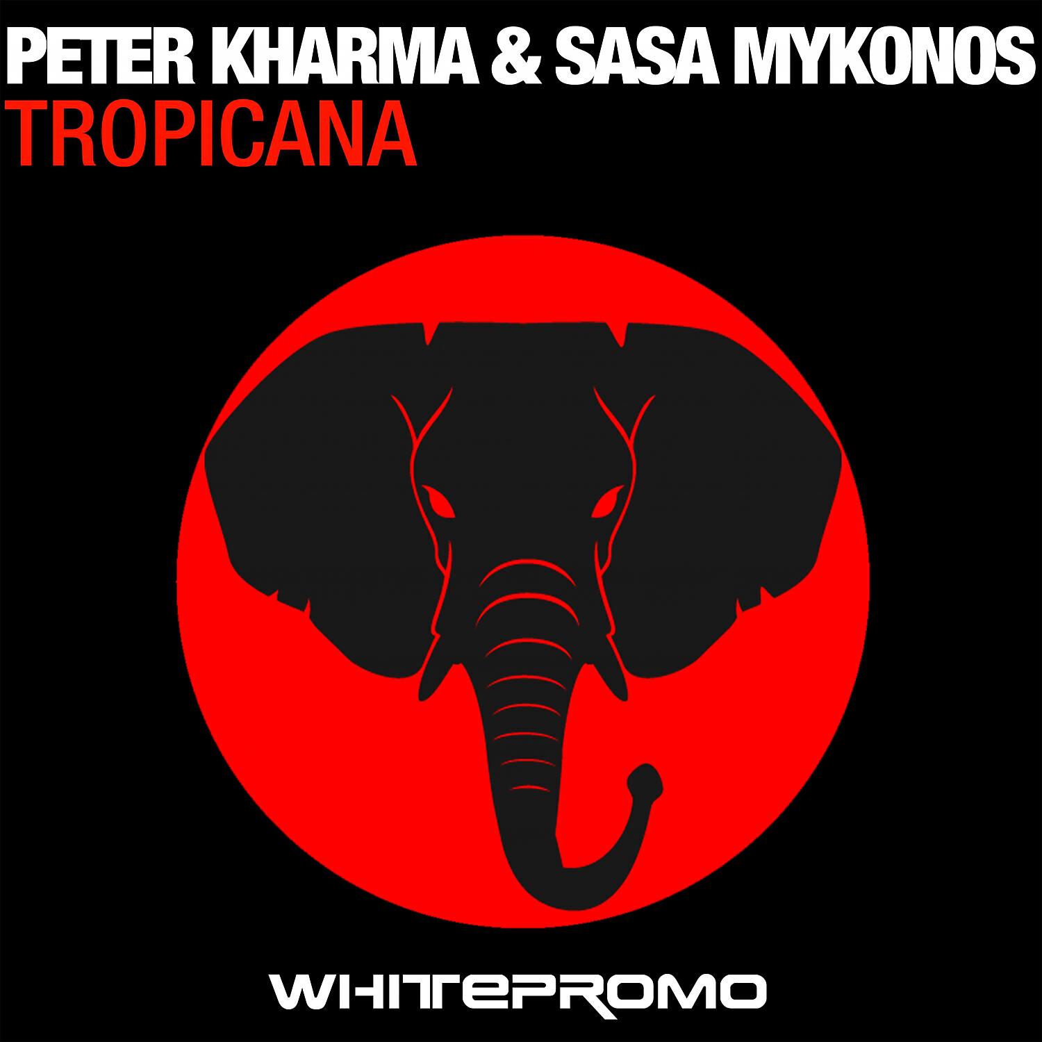 Релиз Tropicana