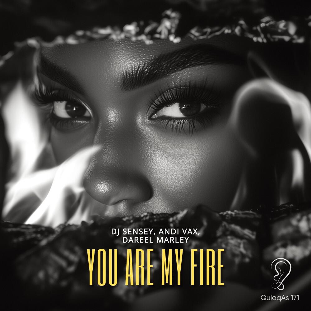 Релиз You Are My Fire (Radio Edit)