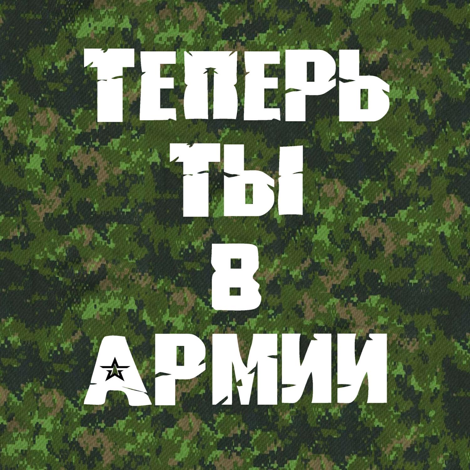Релиз Теперь ты в армии