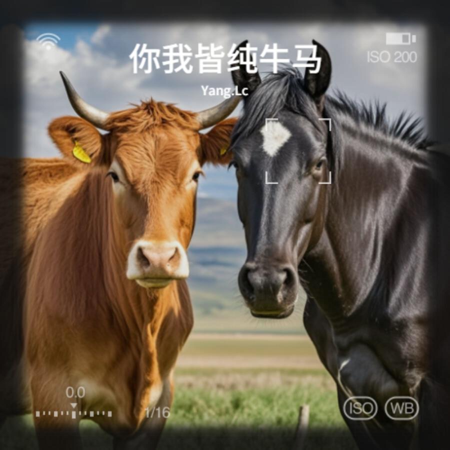 Волна по треку