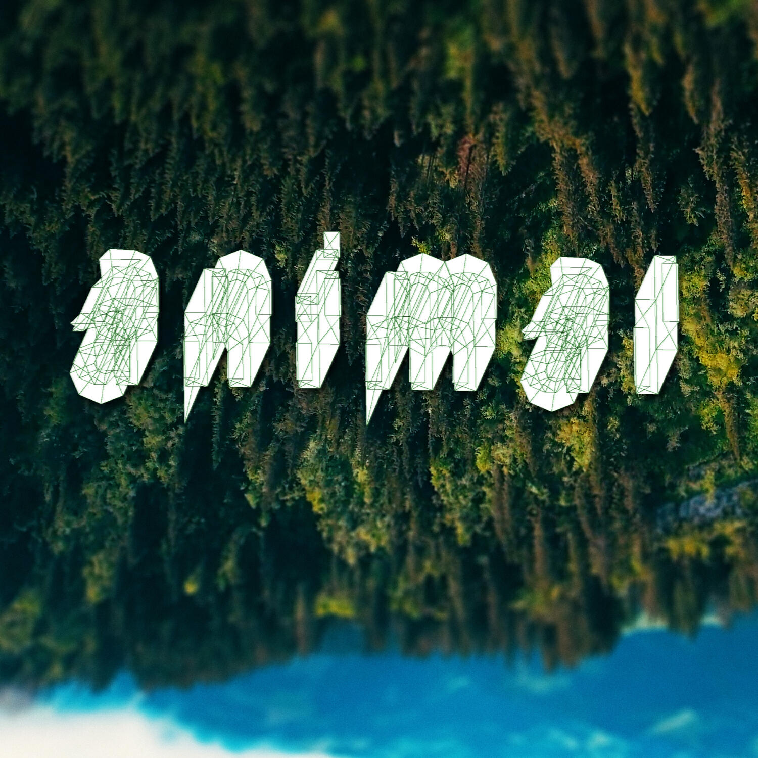 Релиз Animal