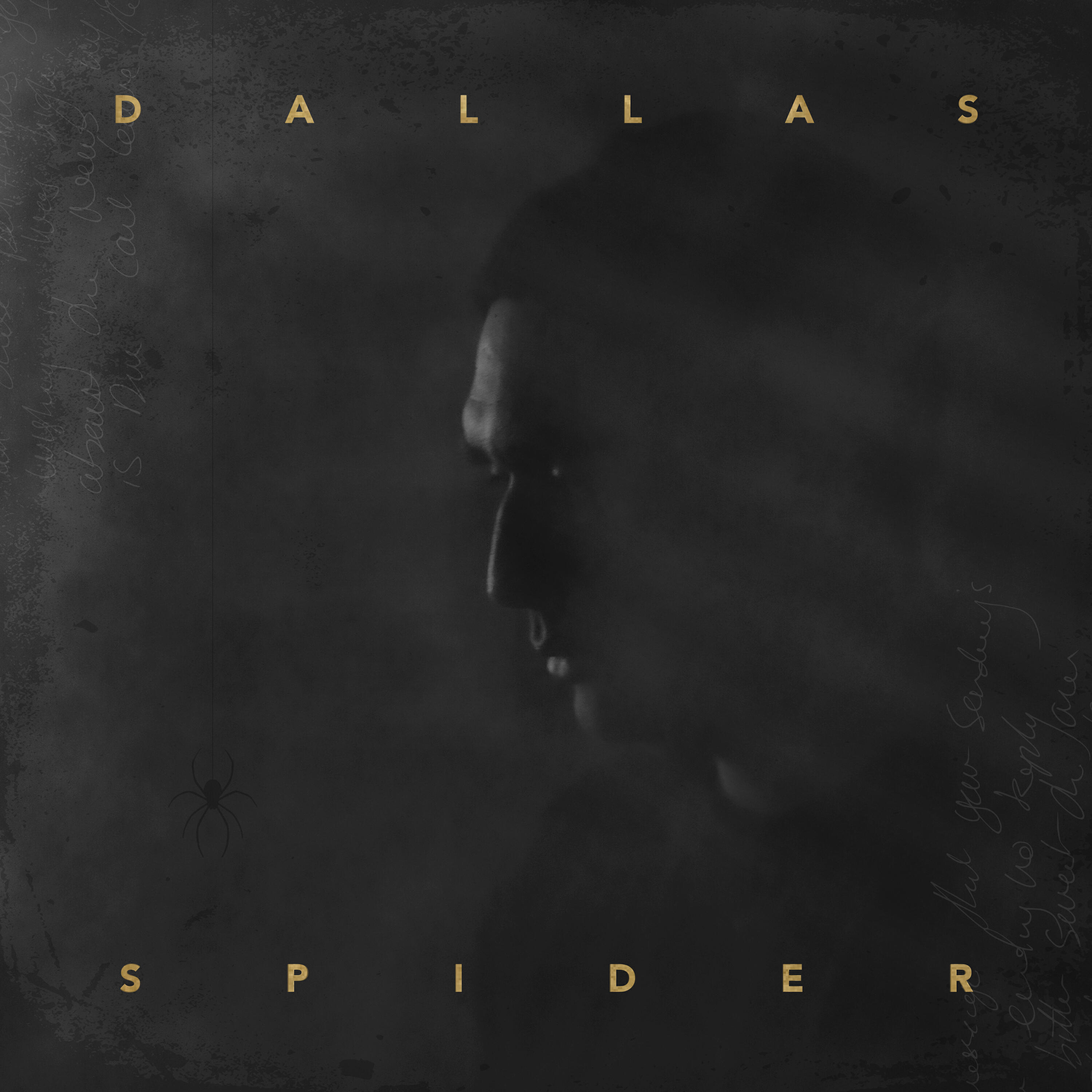 Релиз Spider