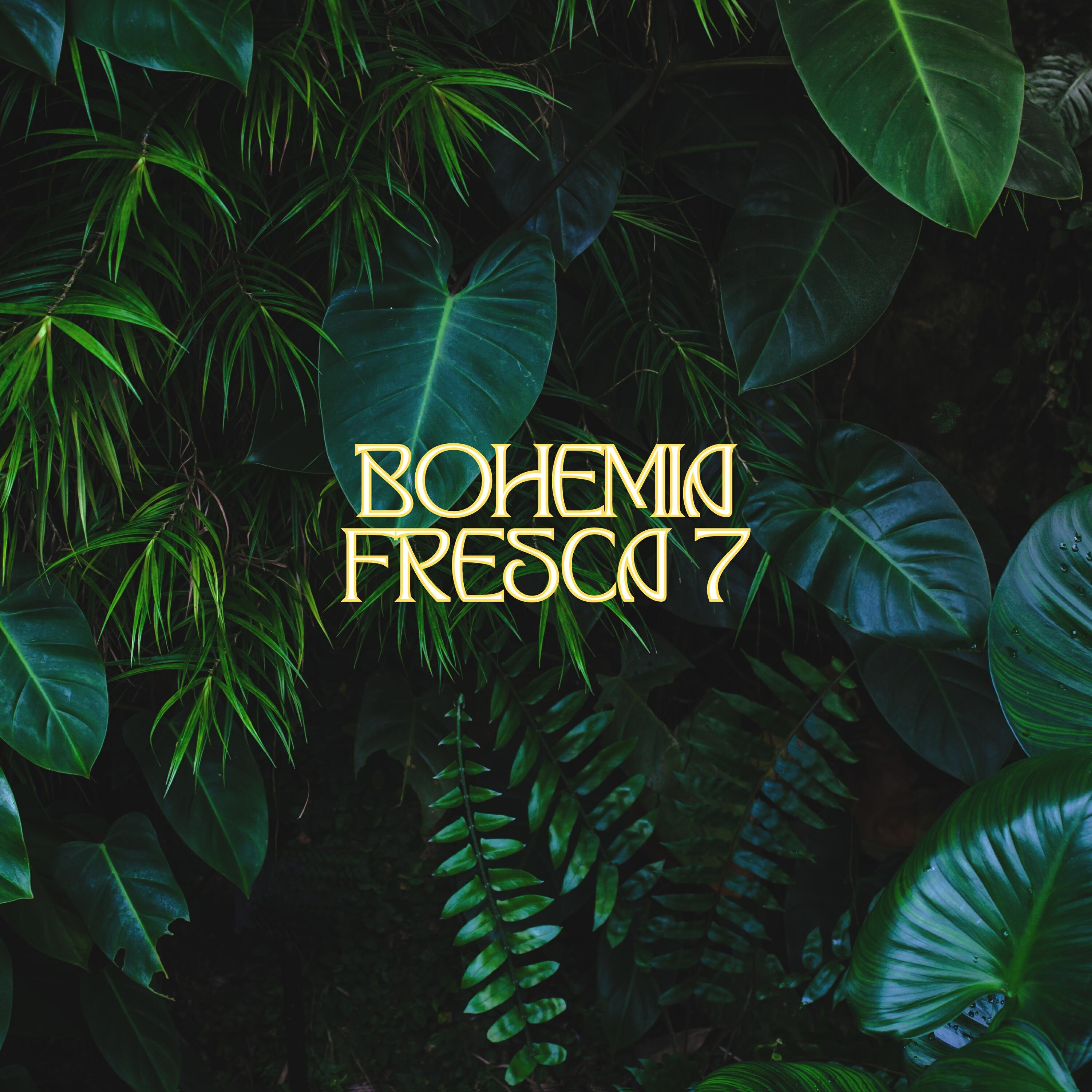 Релиз Bohemia Fresca 7
