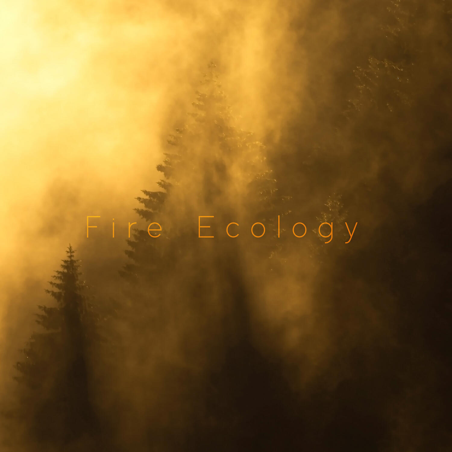 Релиз Fire Ecology