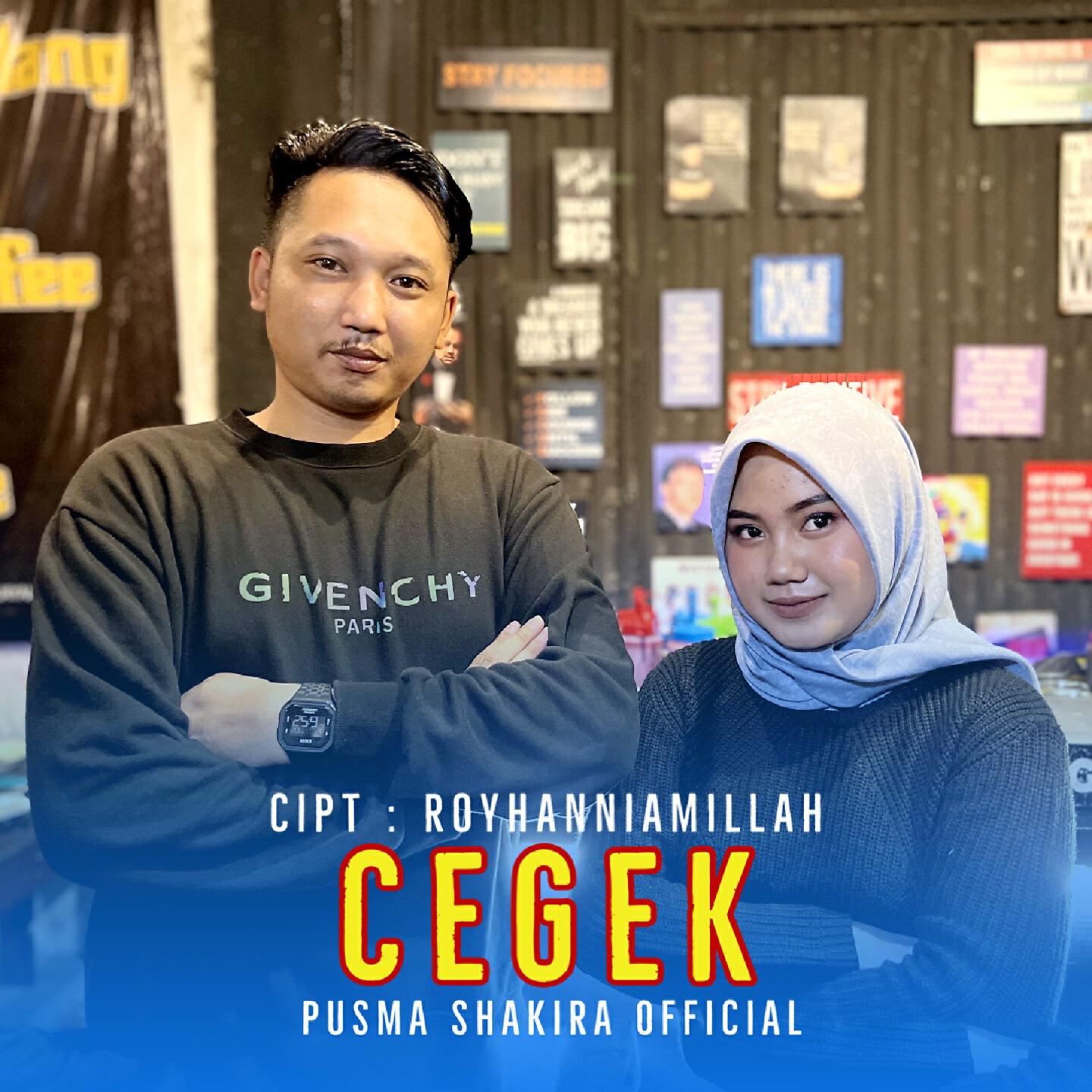 Релиз Cegek