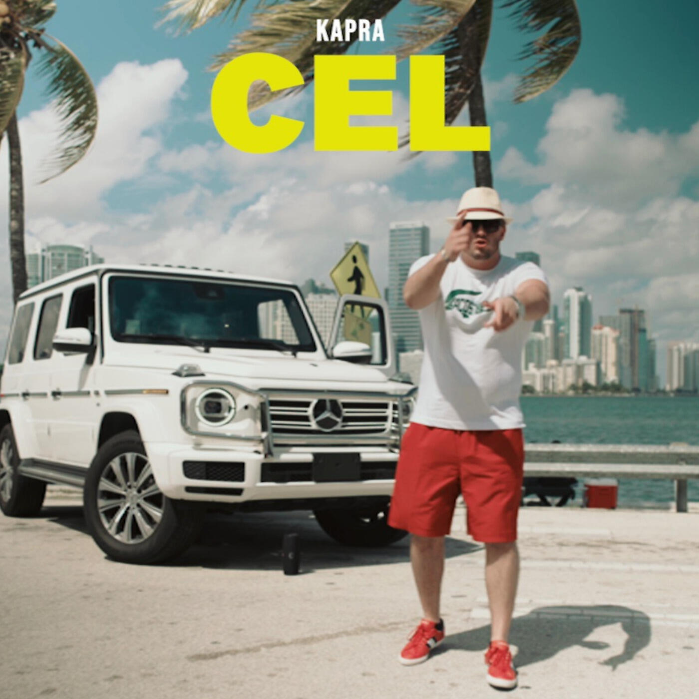 Релиз Cel