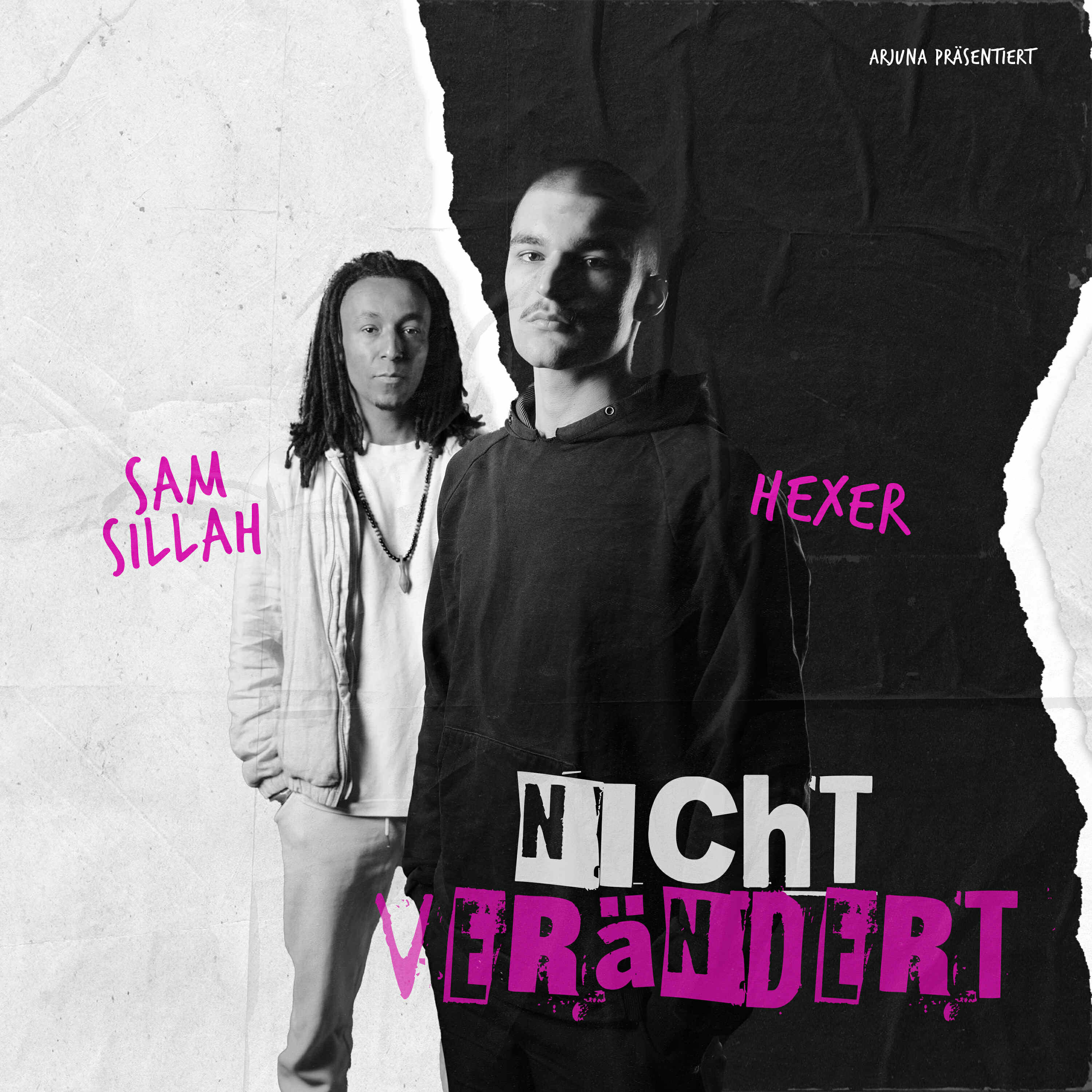 Постер альбома Nicht verändert