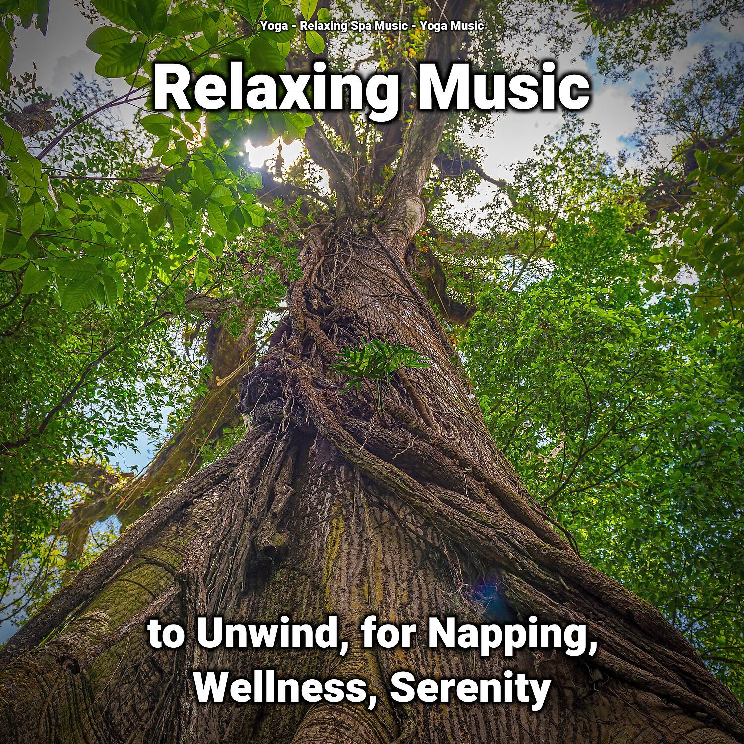 Релиз Relaxing Music to Unwind, for Napping, Wellness, Serenity