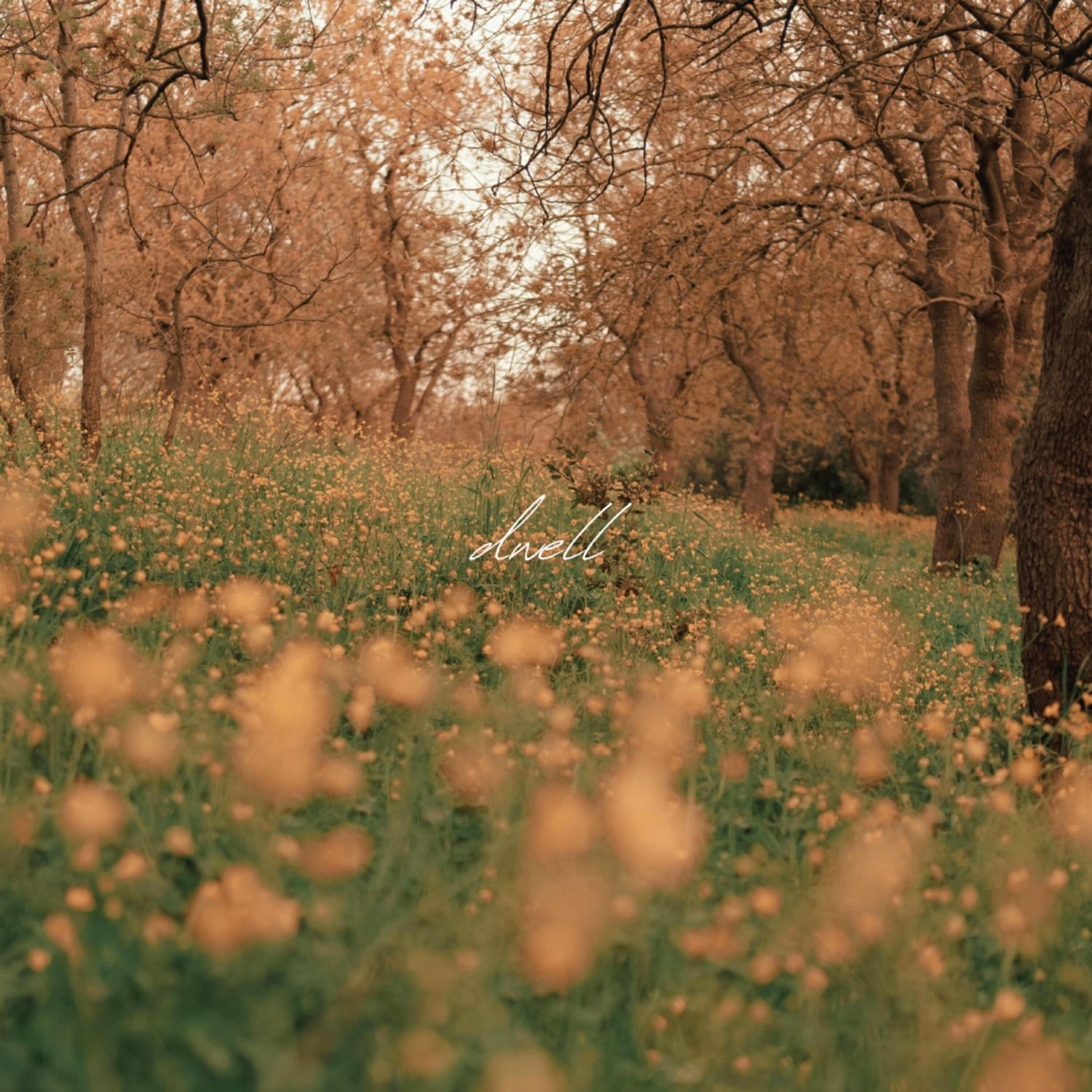 Релиз dwell