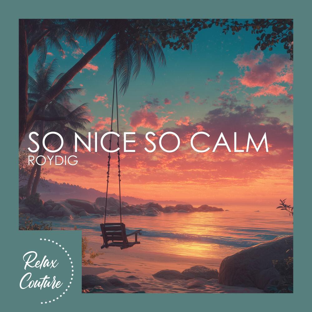 Релиз So Nice so Calm
