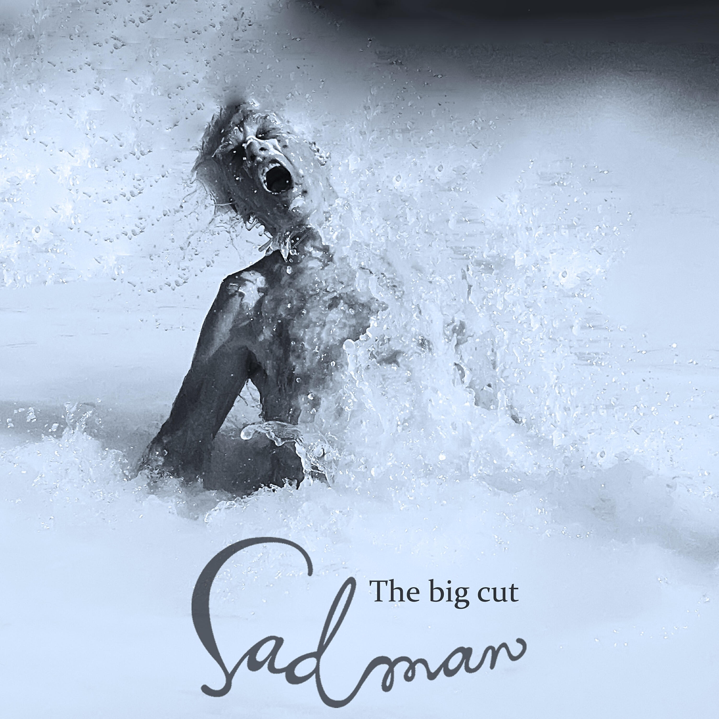 Релиз The Big Cut