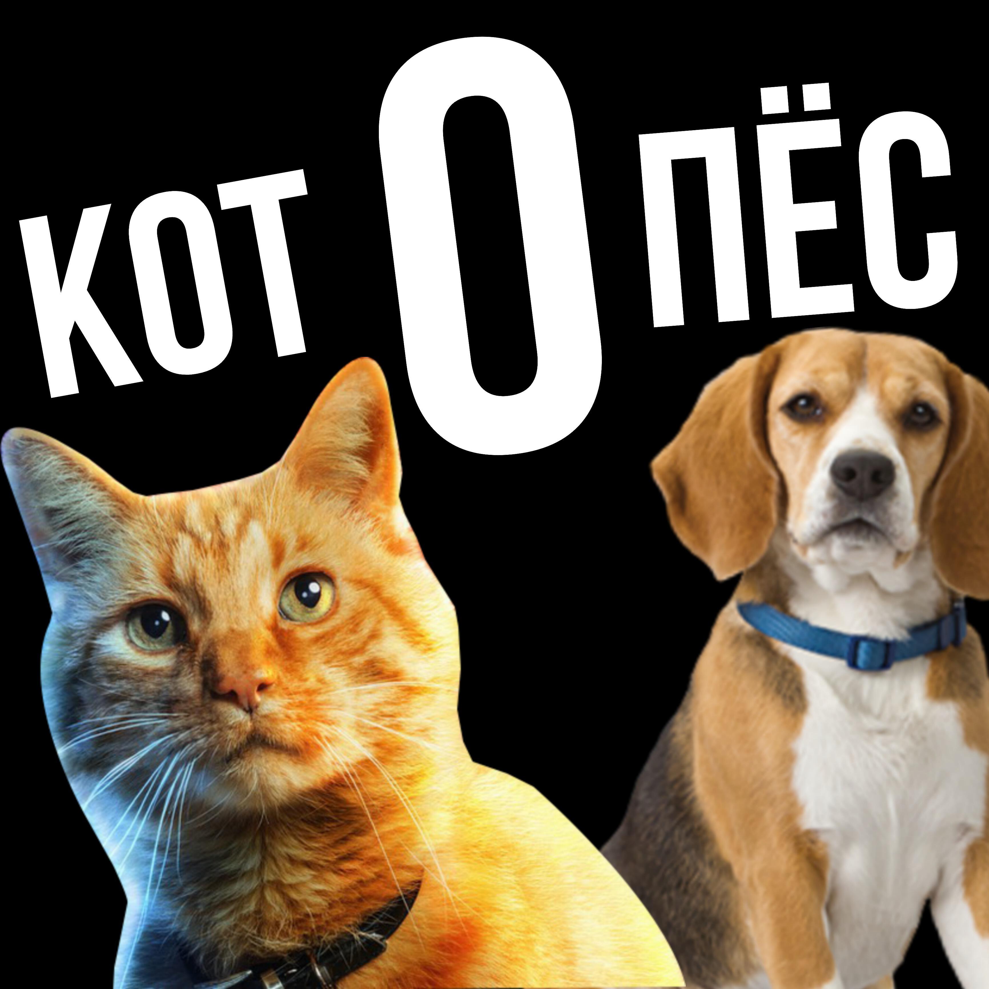 Релиз Котопёс