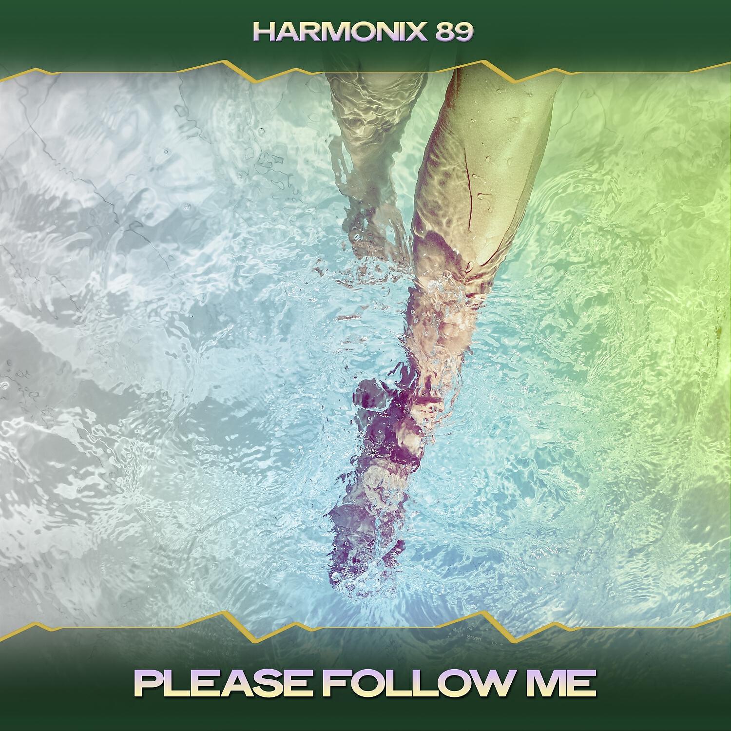 Harmonix 89