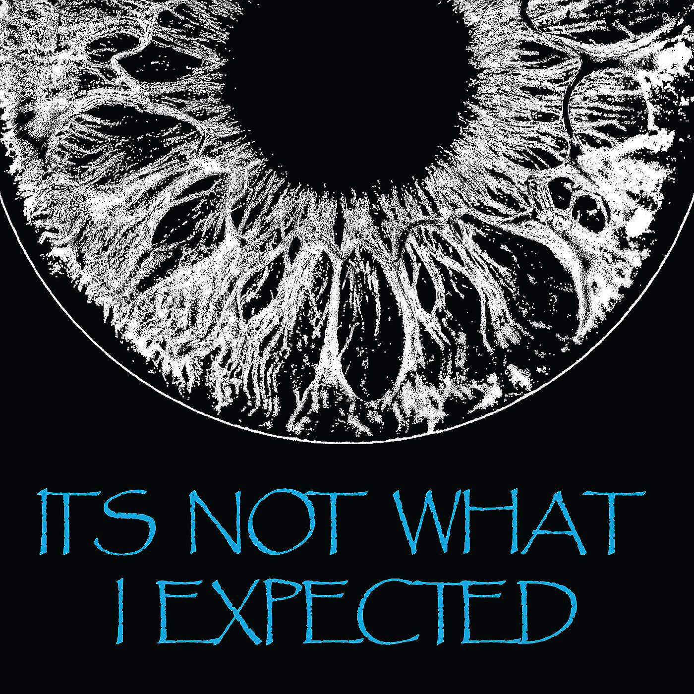 Релиз Its Not What I Expected