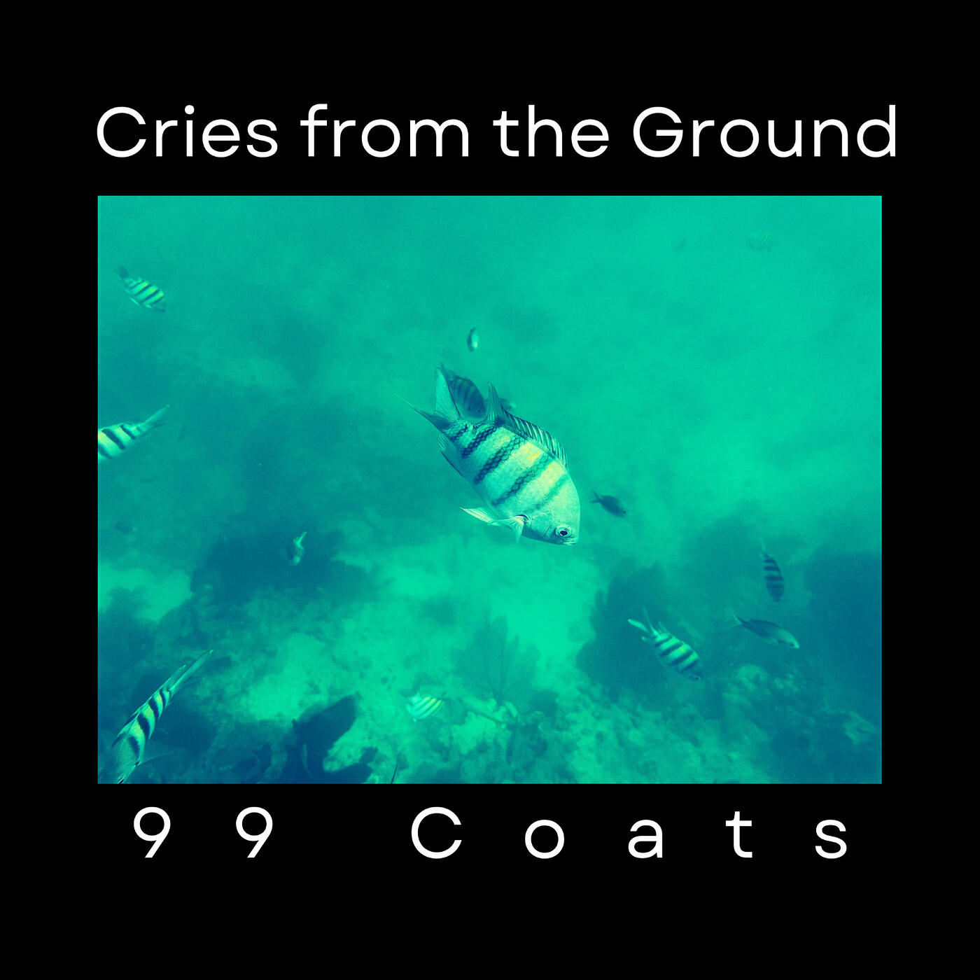 Релиз Cries from the Ground