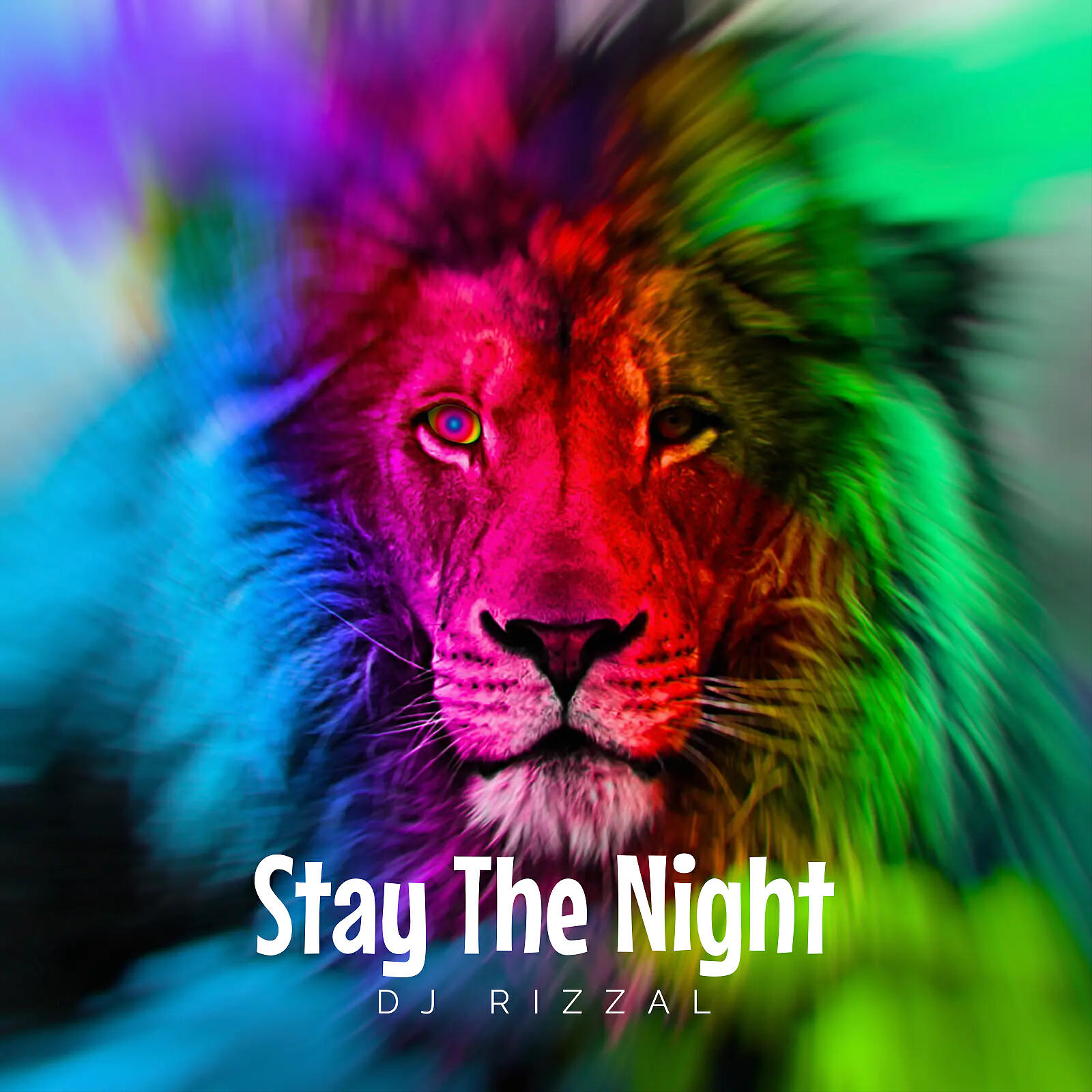 Релиз Stay The Night