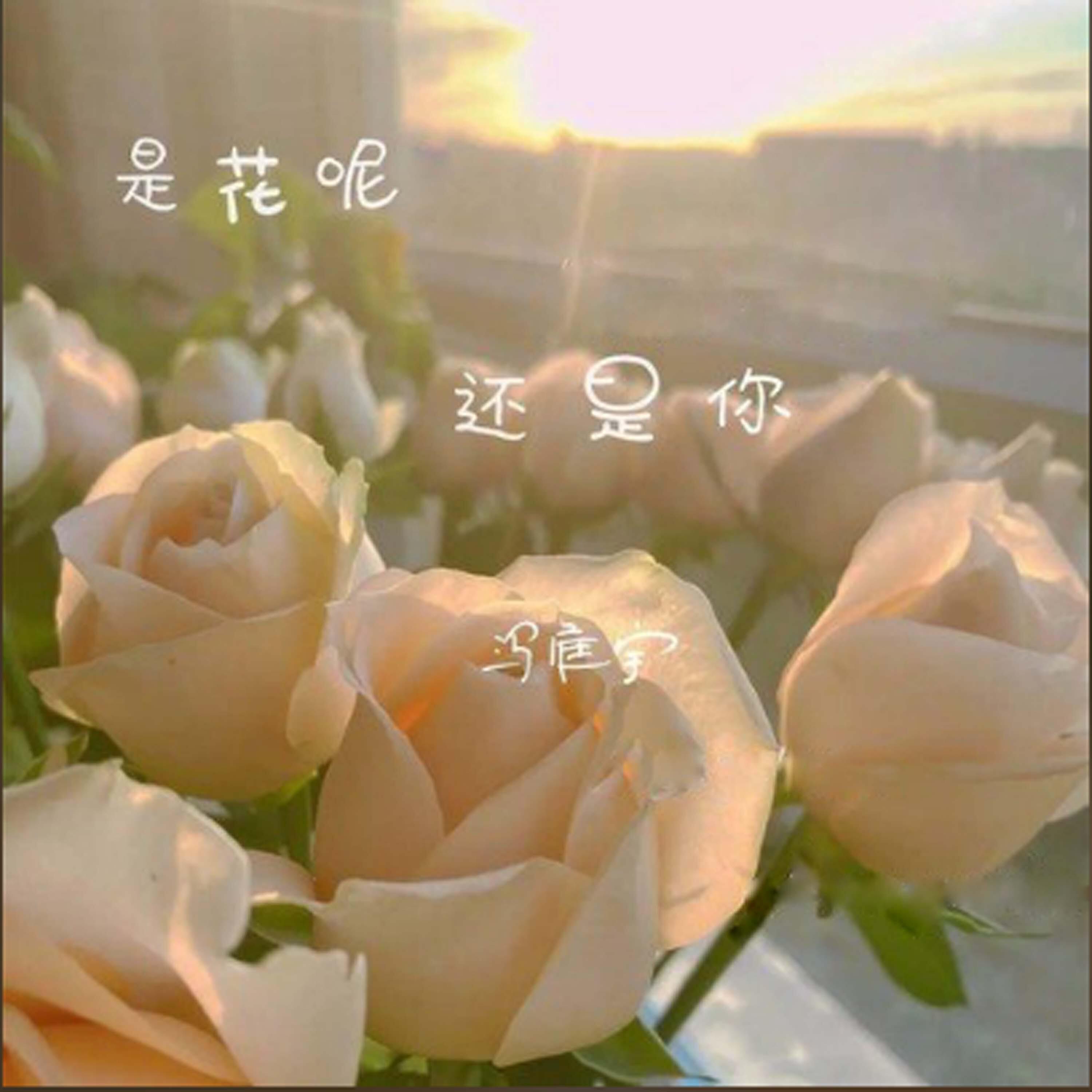 Релиз 是花呢 还是你