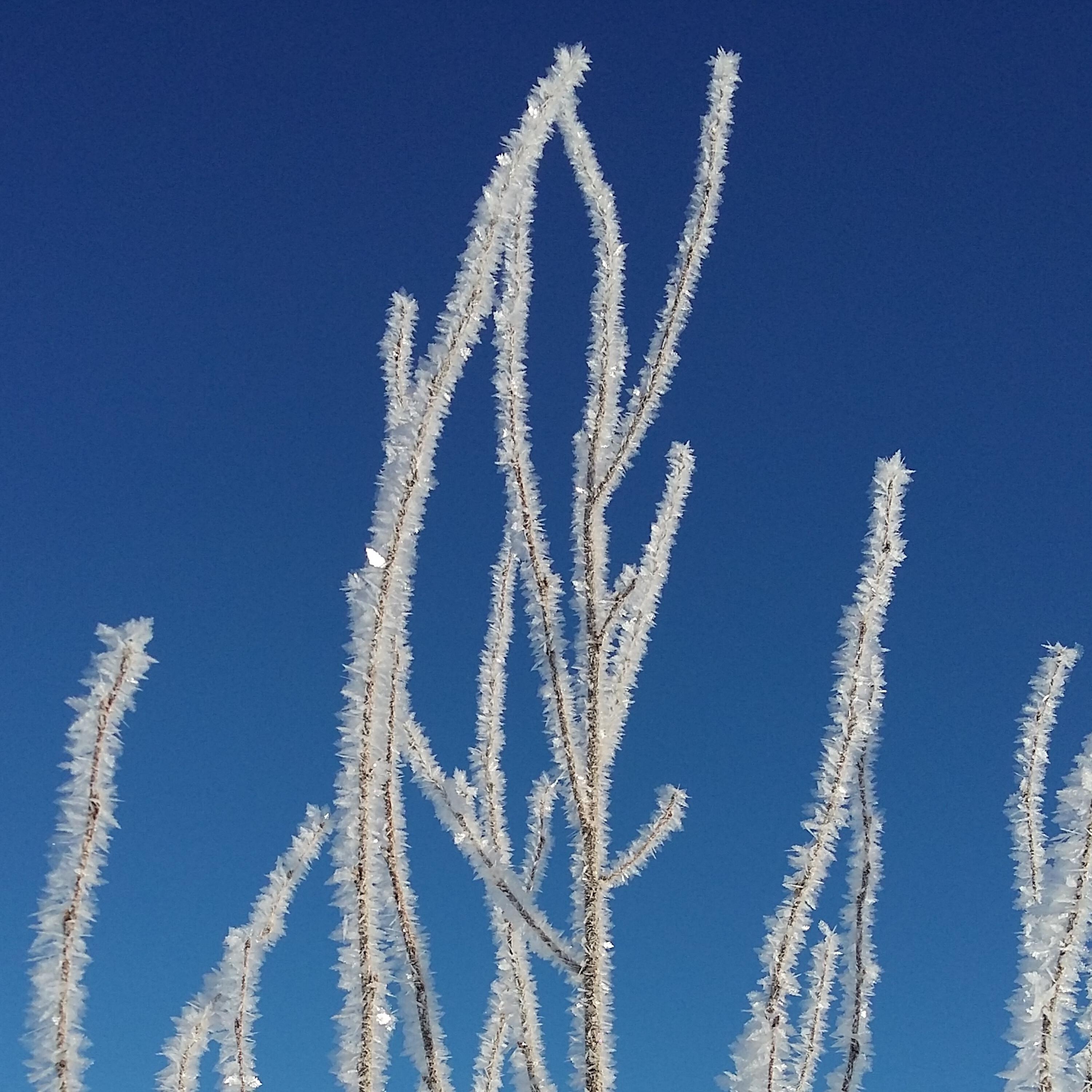 Релиз Winter Sunrise Lounge